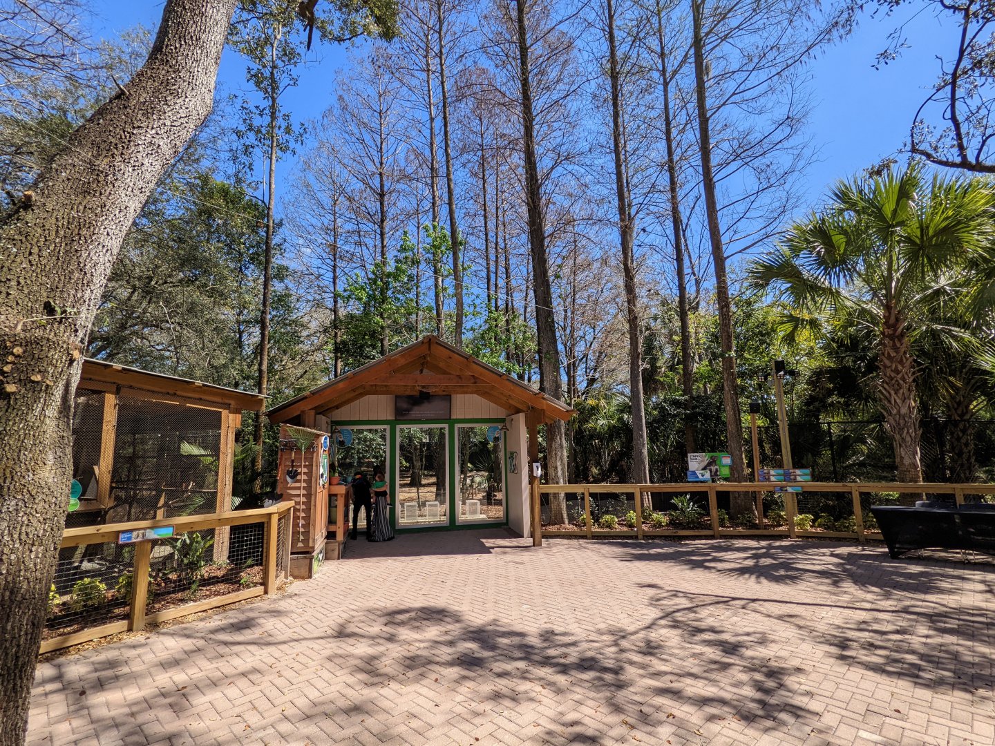 Wild Florida looking towards the stripped skunk habitat.