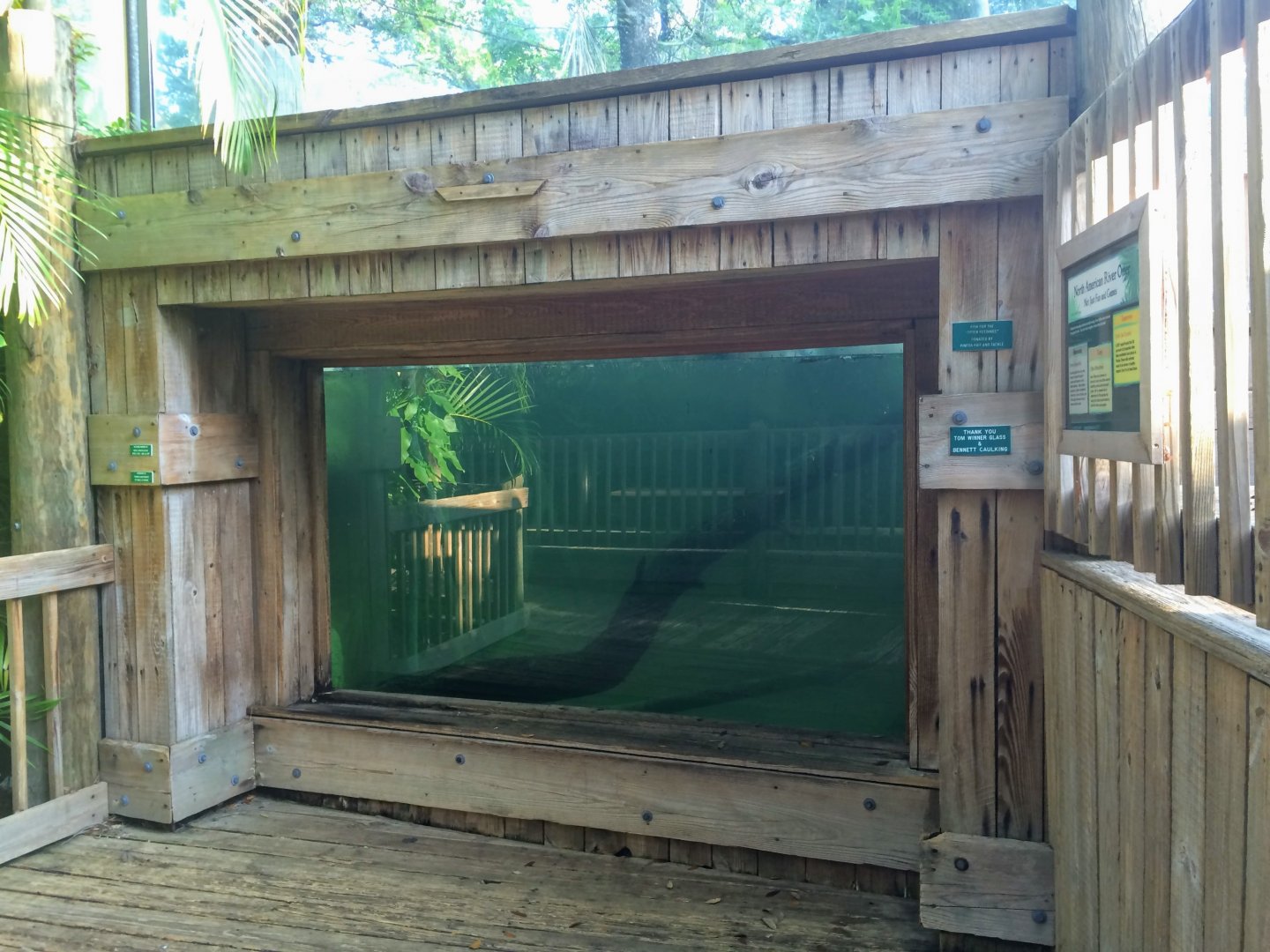 Wild Florida - North American River Otter Exhibit