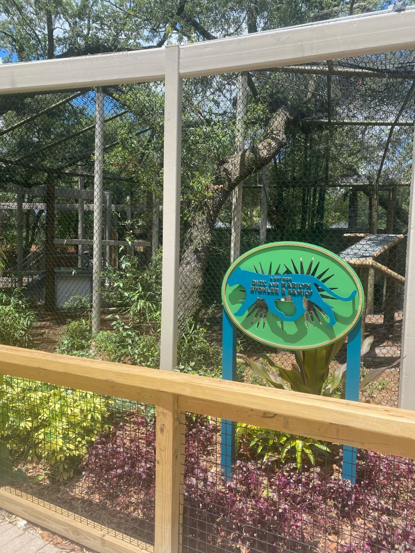 Wild Florida- Panther Exhibit #1