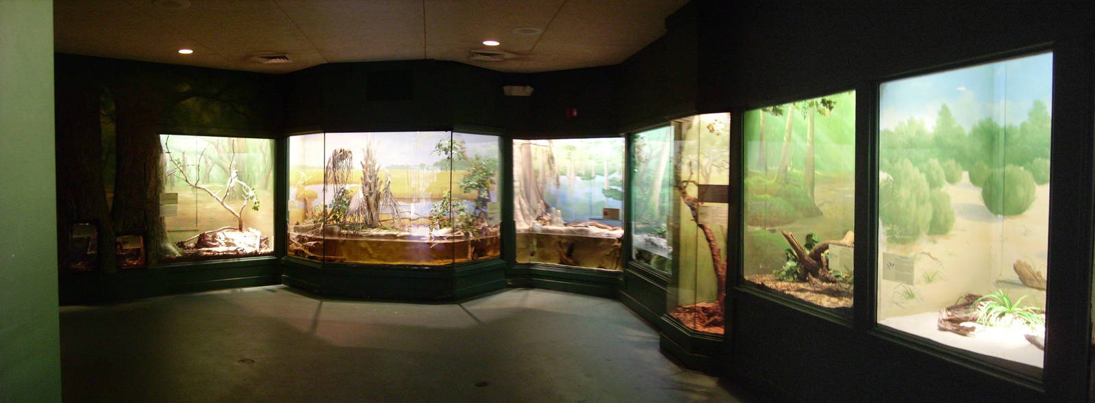 Wild Florida Reptile House