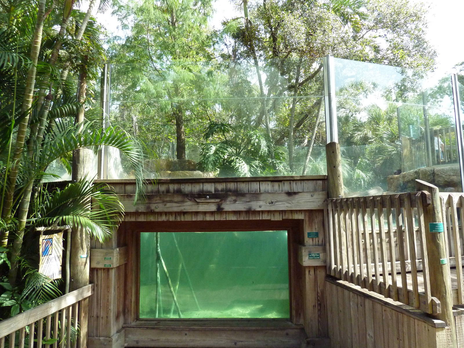 Wild Florida - River Otter Exhibit