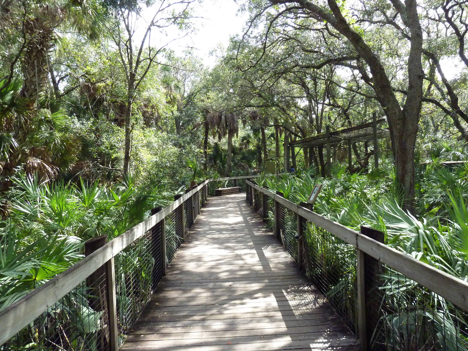 Wild Florida - Visitor Boardwalk