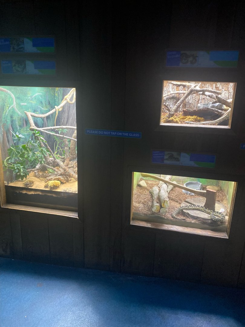 Wild Florida- Wall Terrariums (4 species)