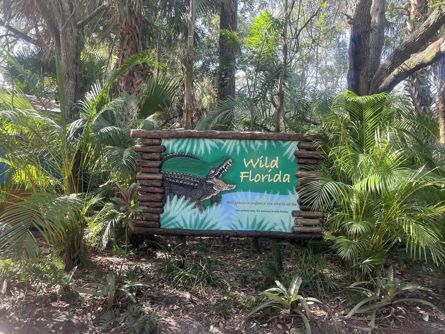 Wild Florida