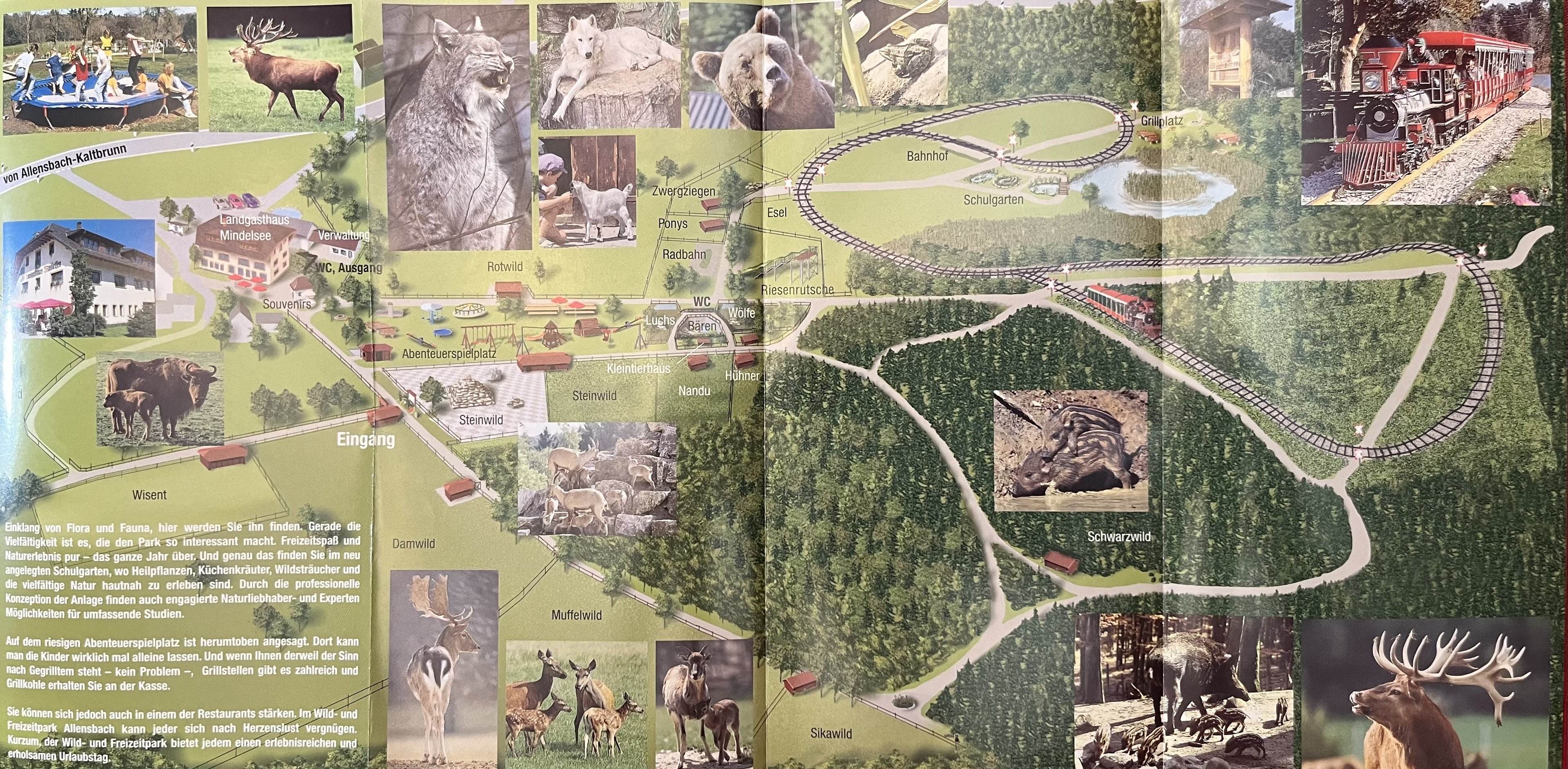 Wild & Freizeitpark Allensbach Map - undated