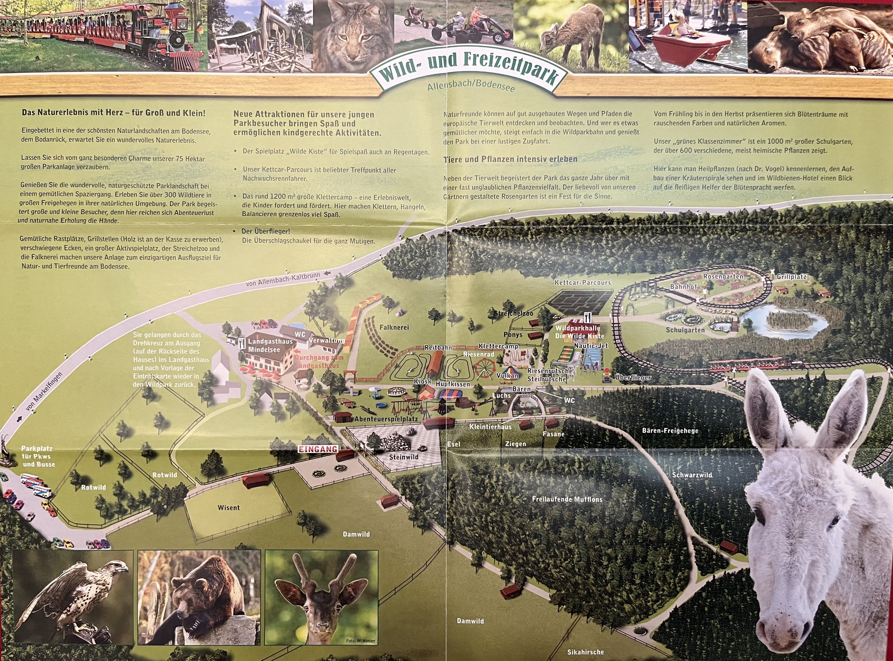 Wild & Freizeitpark Allensbach Map - undated