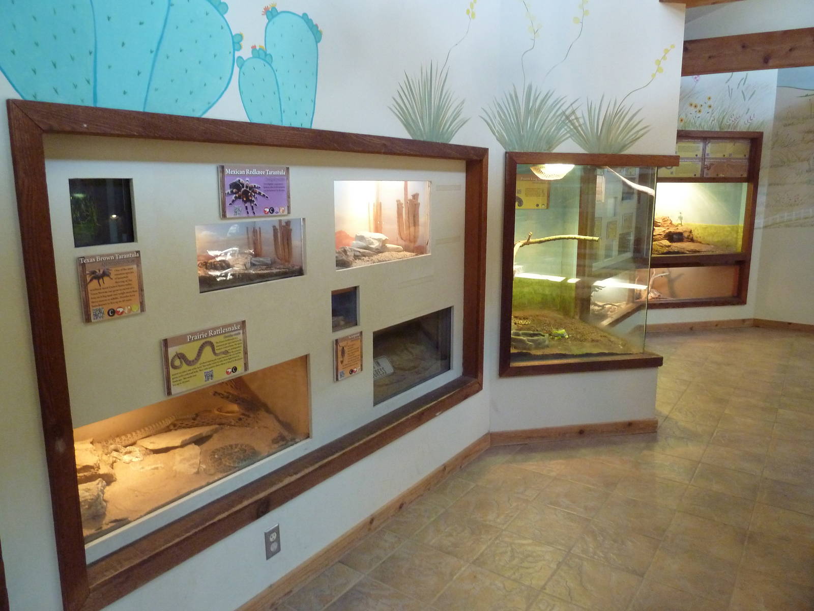 Wild Habitats Building (44 Species) - Reptile House