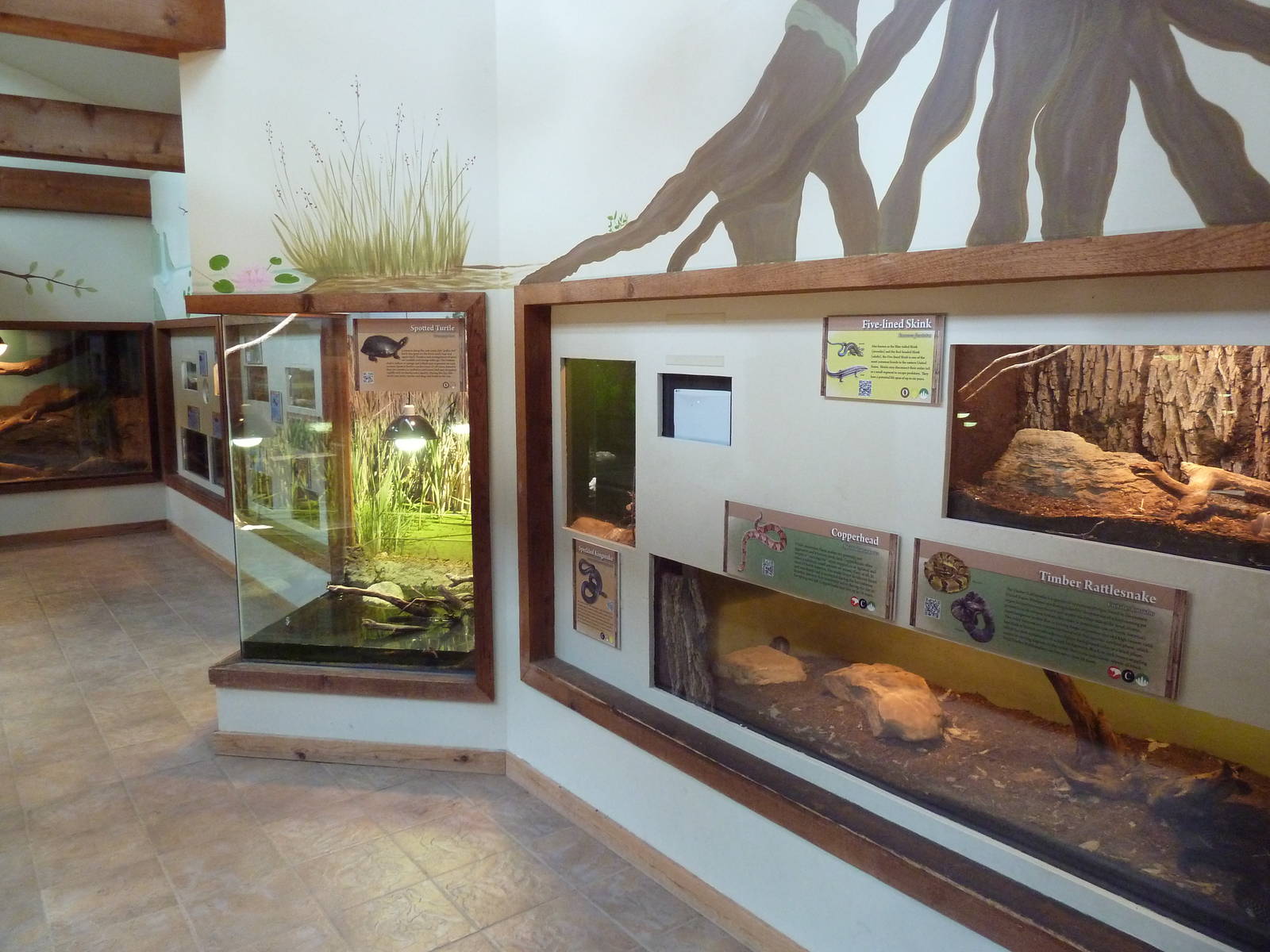 Wild Habitats Building (44 Species) - Reptile House