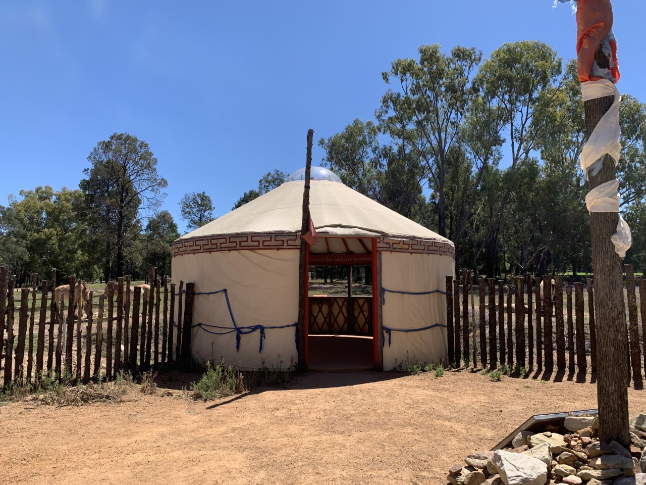 Wild Herds Walk-through