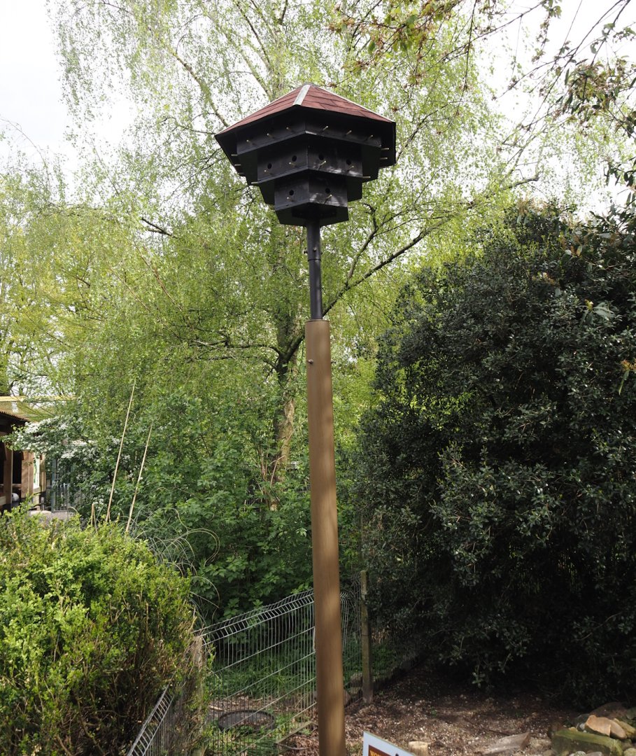 Wild house sparrow nesting tower, 2024-04-14