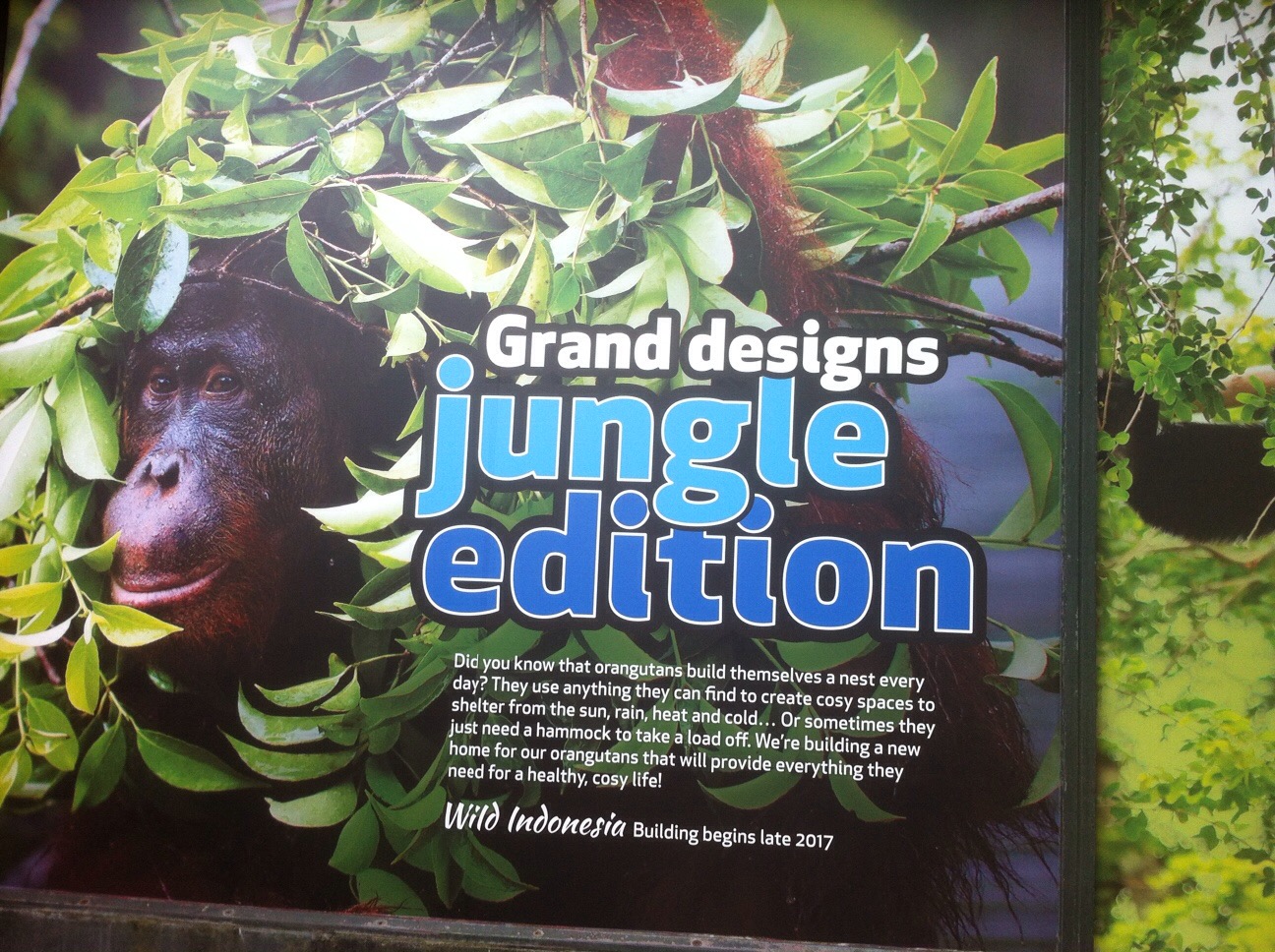 Wild Indonesia Poster: Grand Designs Jungle Edition