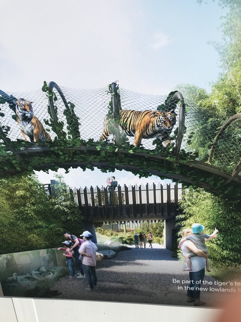 Wild Indonesia Tiger Overpass concept Art