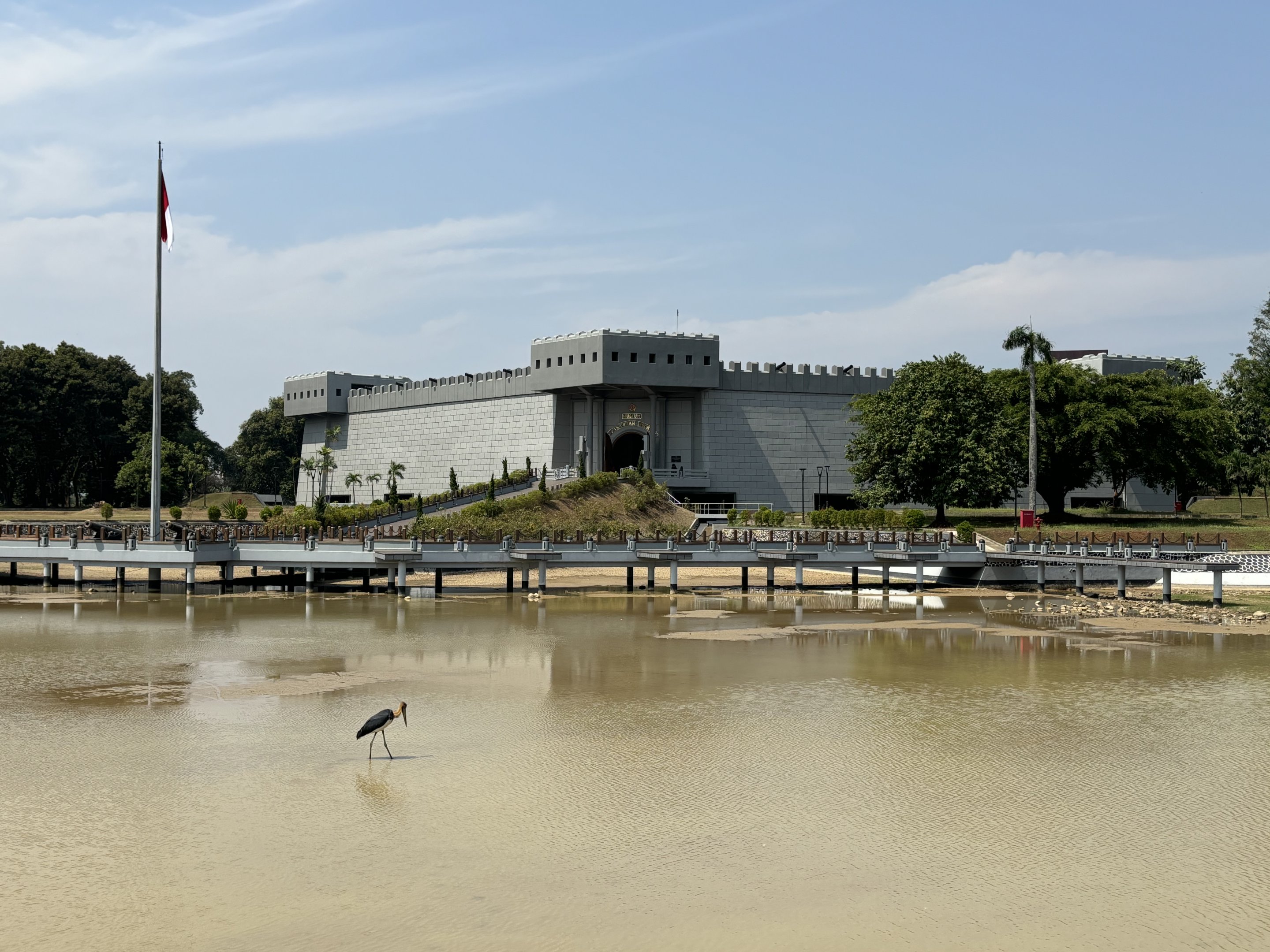 Wild Lesser Adjutant + Museum
