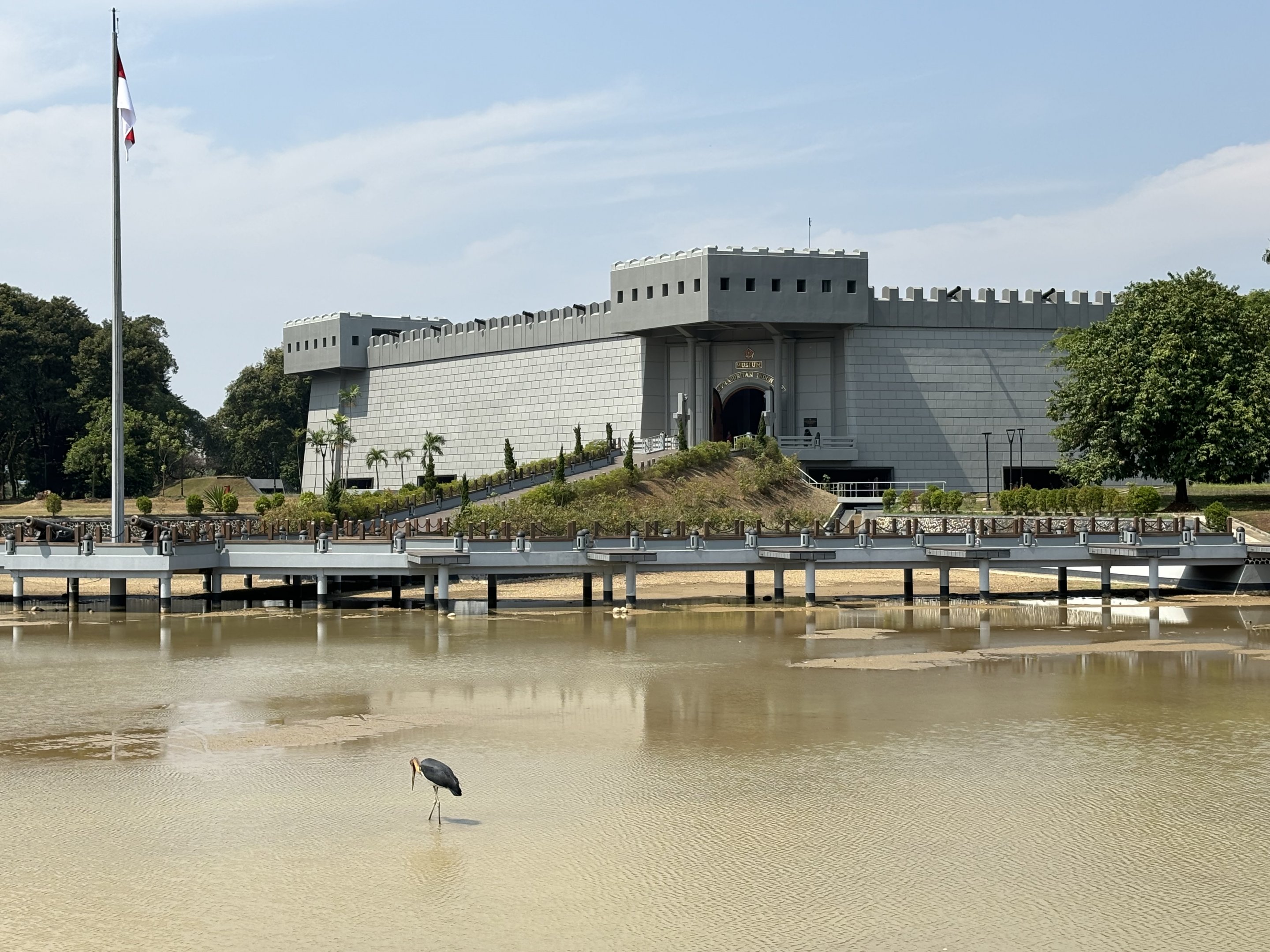 Wild Lesser Adjutant + Museum