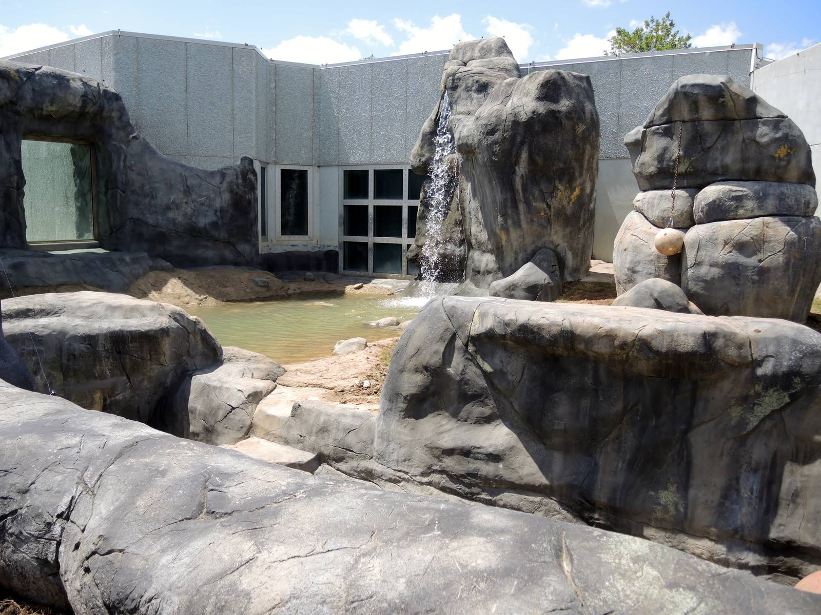 Wild Life Trek - Grizzly bear habitat