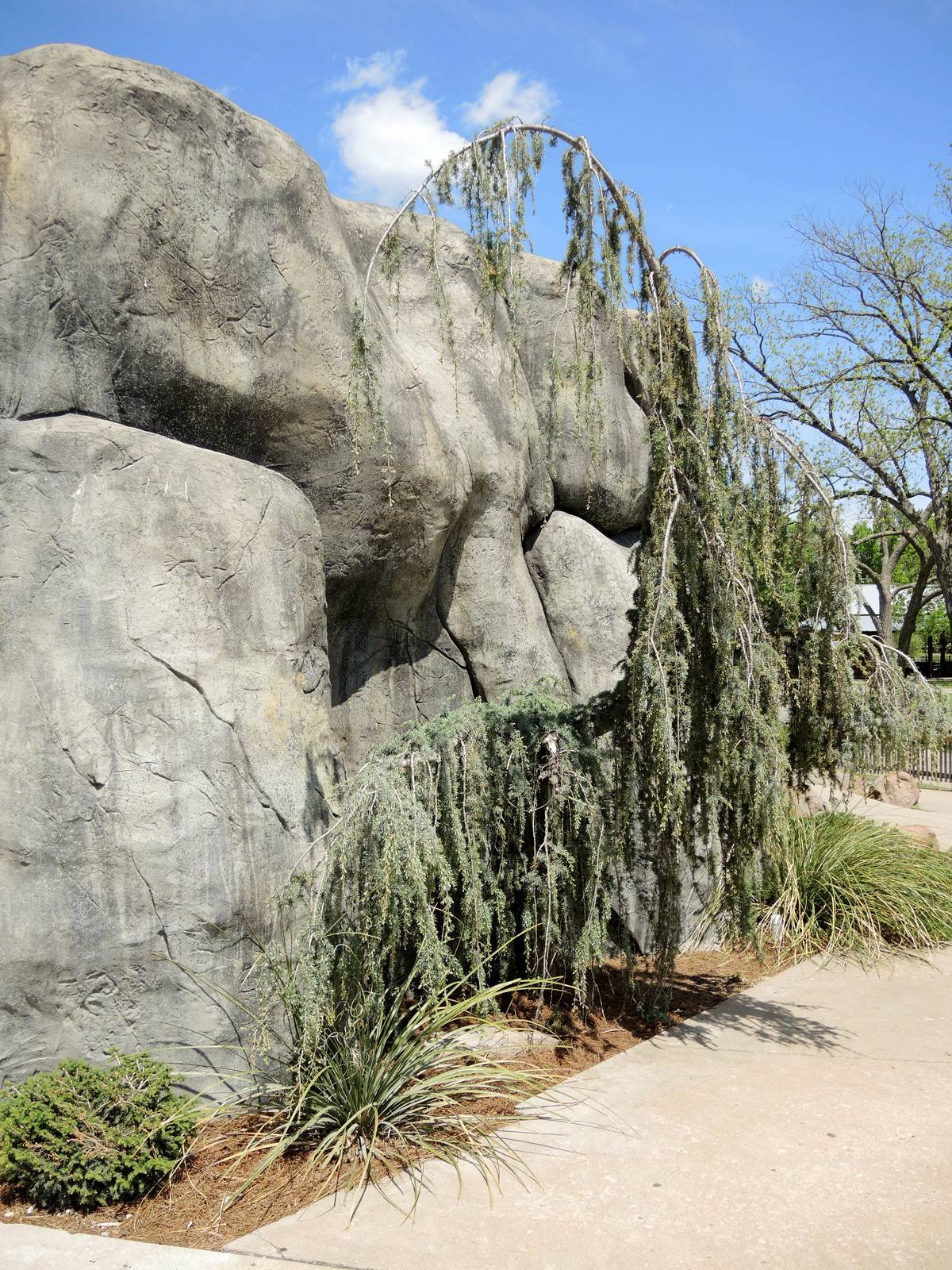 Wild Life Trek - Life in the Cold