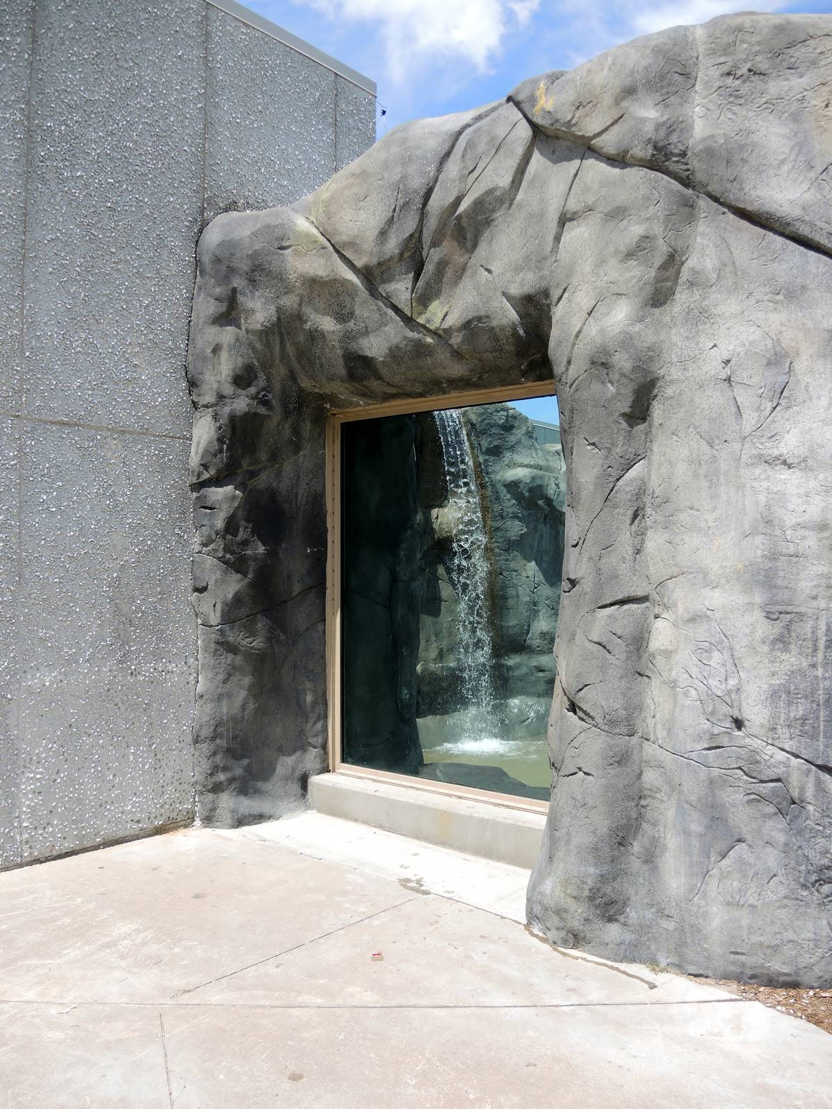 Wild Life Trek - Life in the Cold