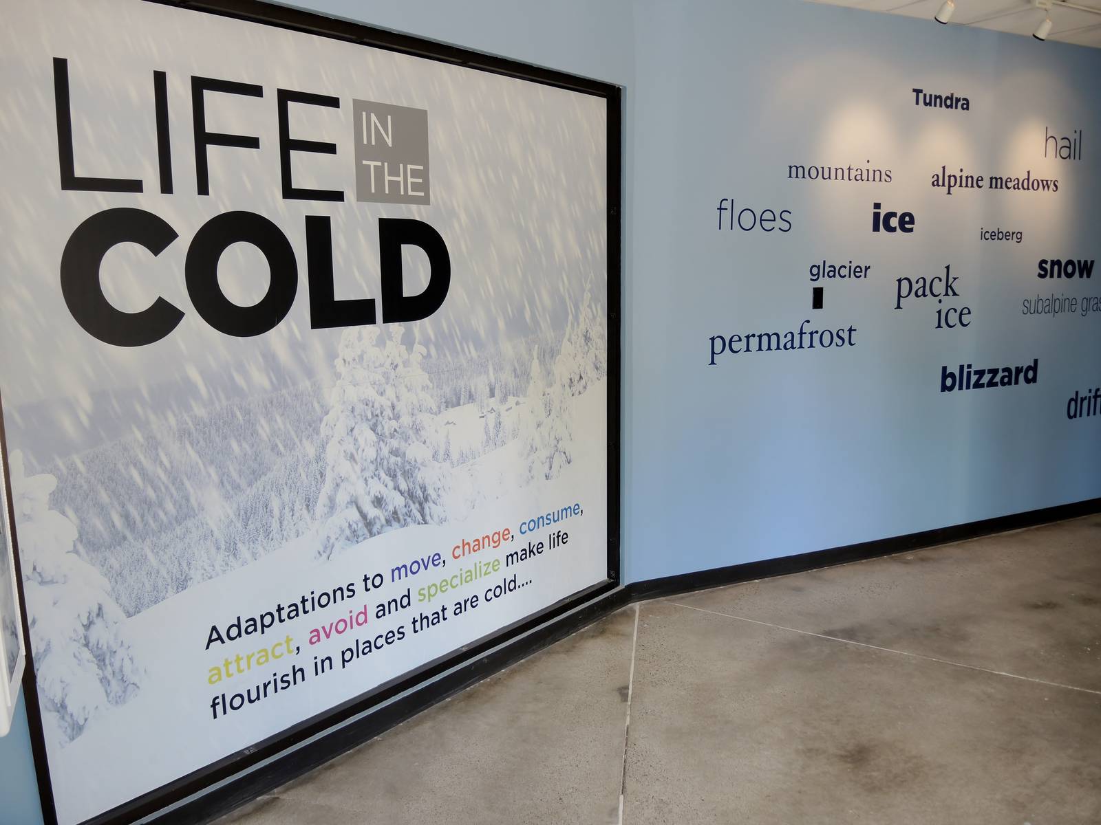 Wild Life Trek - Life in the Cold