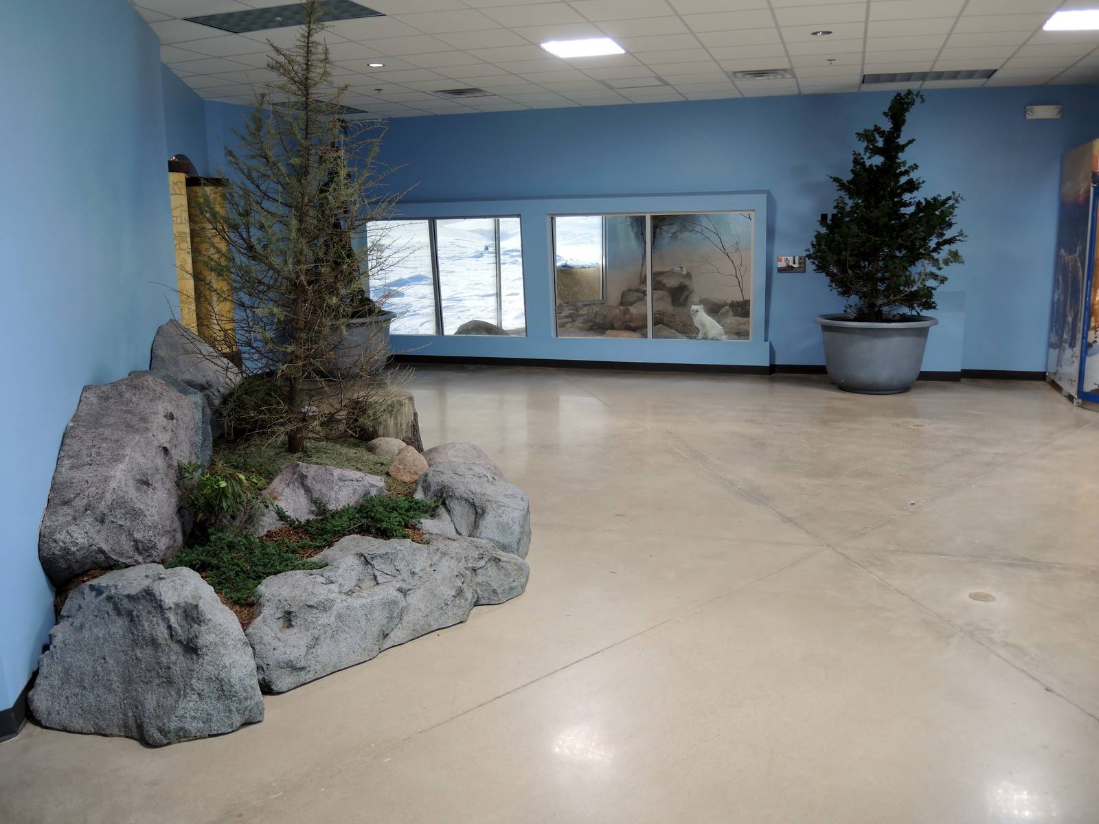 Wild Life Trek - Life in the Cold