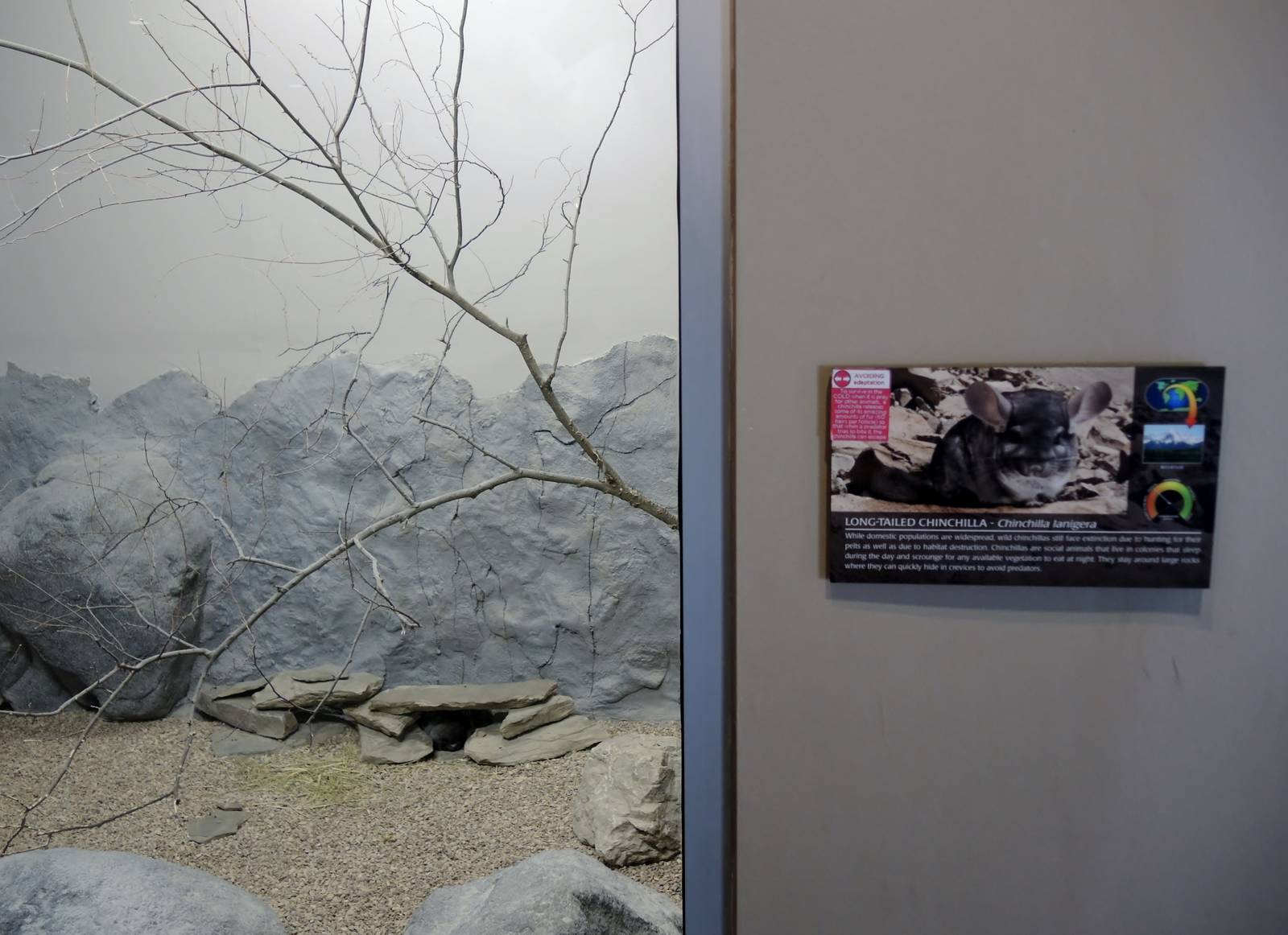 Wild Life Trek - Life in the Cold