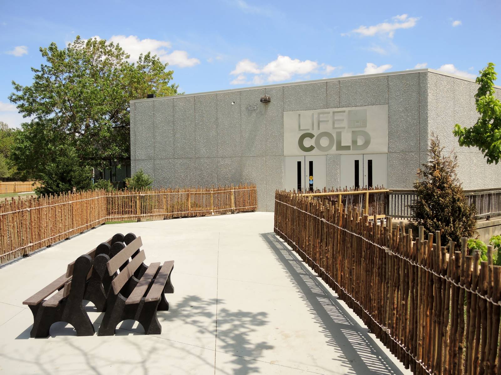 Wild Life Trek - Life in the Cold