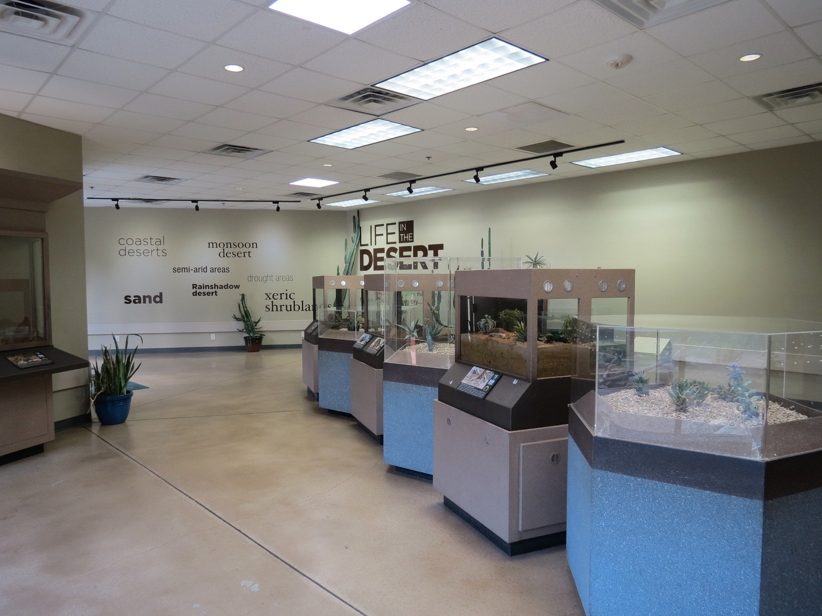 Wild Life Trek - Life in the Desert - Invertebrate Exhibits