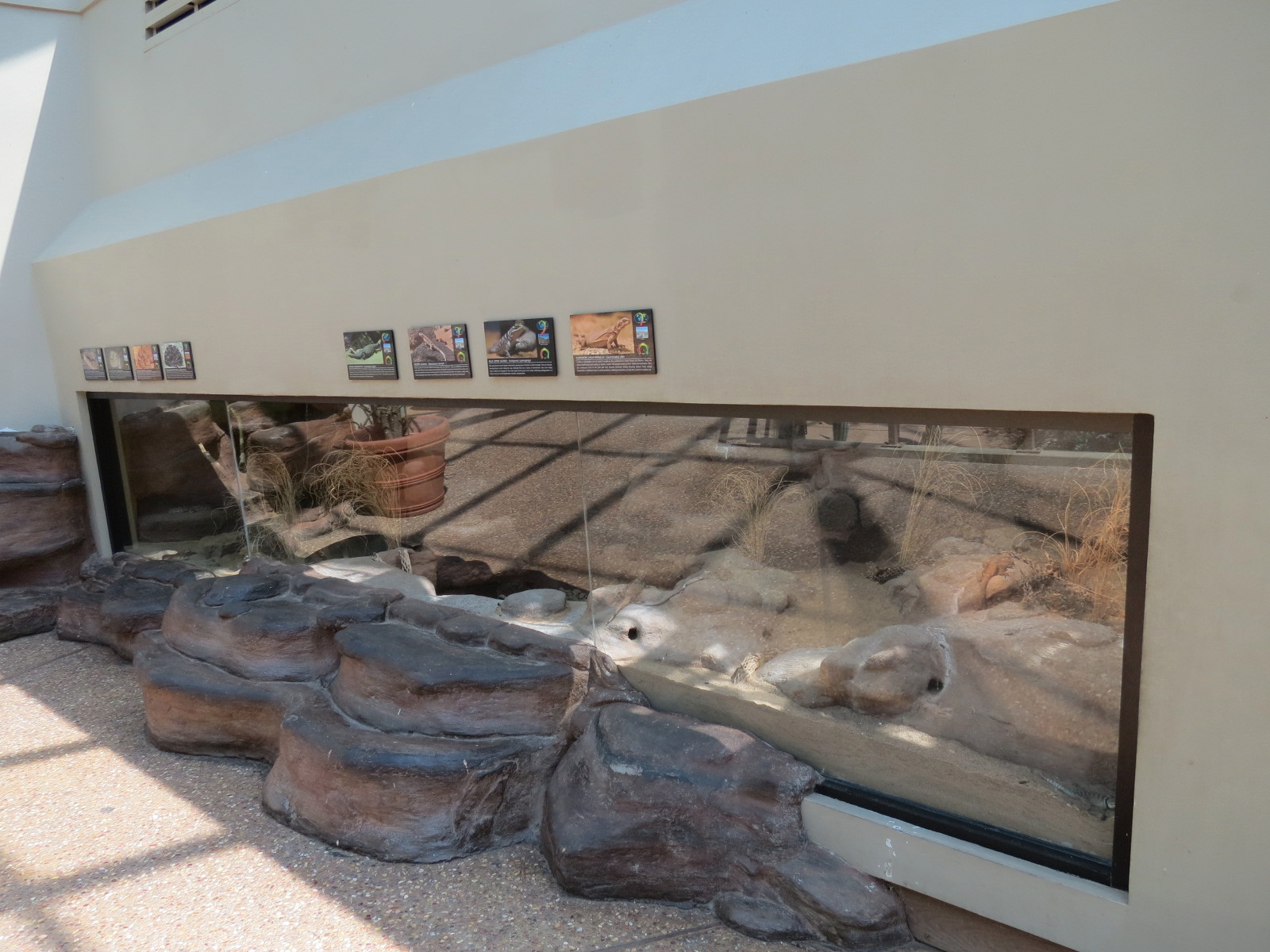 Wild Life Trek - Life in the Desert - Walk-through Aviary Room - Reptile Exhibits