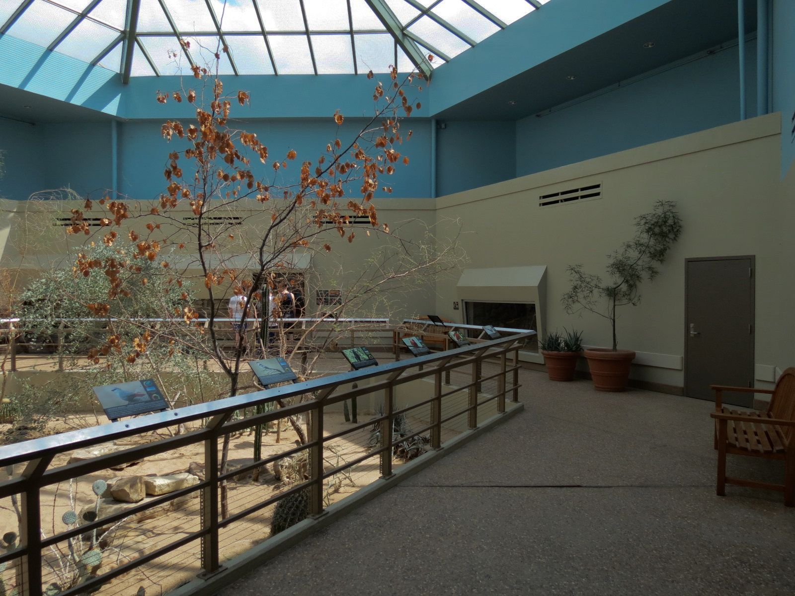 Wild Life Trek - Life in the Desert - Walk-through Aviary Room