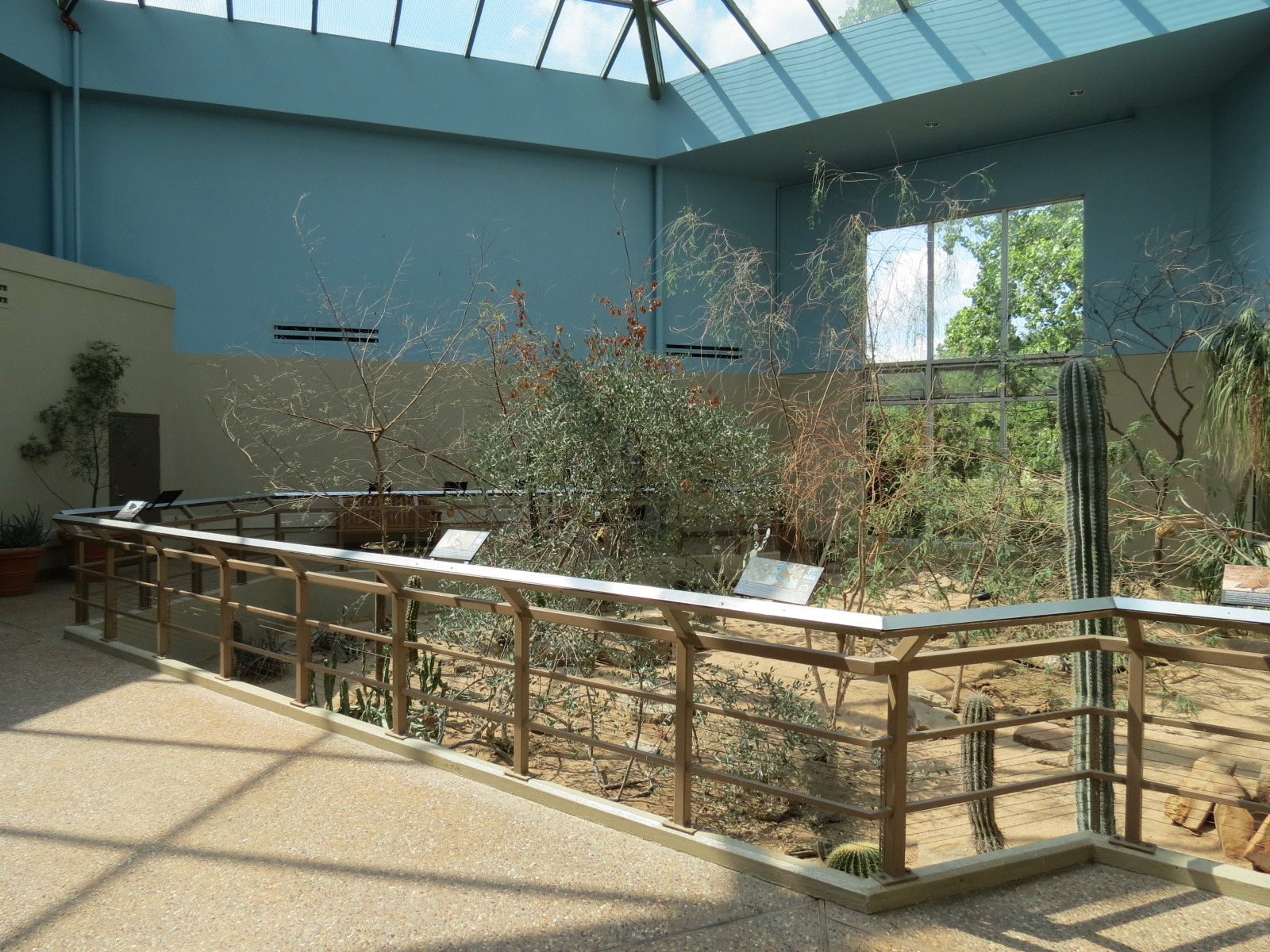 Wild Life Trek - Life in the Desert - Walk-through Aviary Room