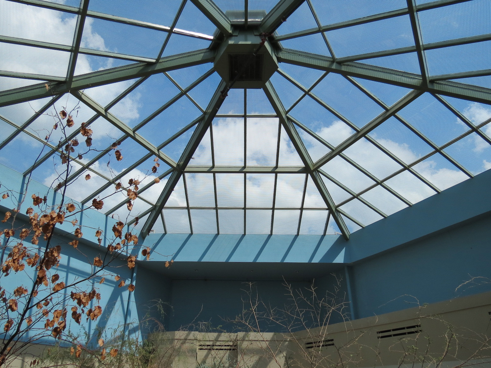 Wild Life Trek - Life in the Desert - Walk-through Aviary Room
