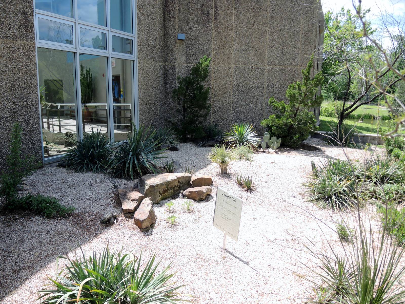 Wild Life Trek - Life in the Desert