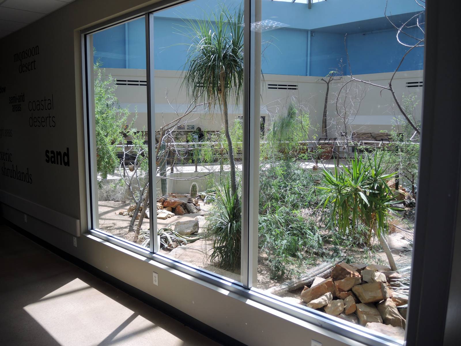 Wild Life Trek - Life in the Desert