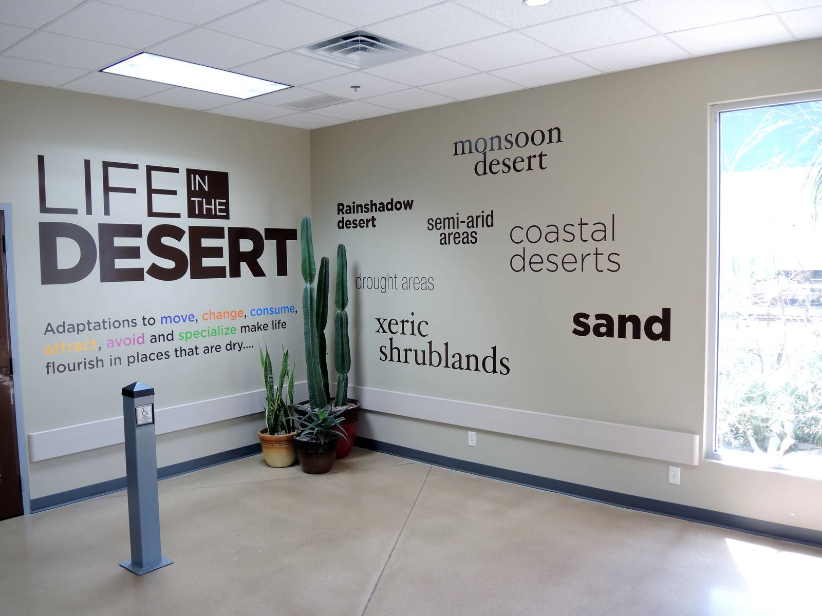 Wild Life Trek - Life in the Desert