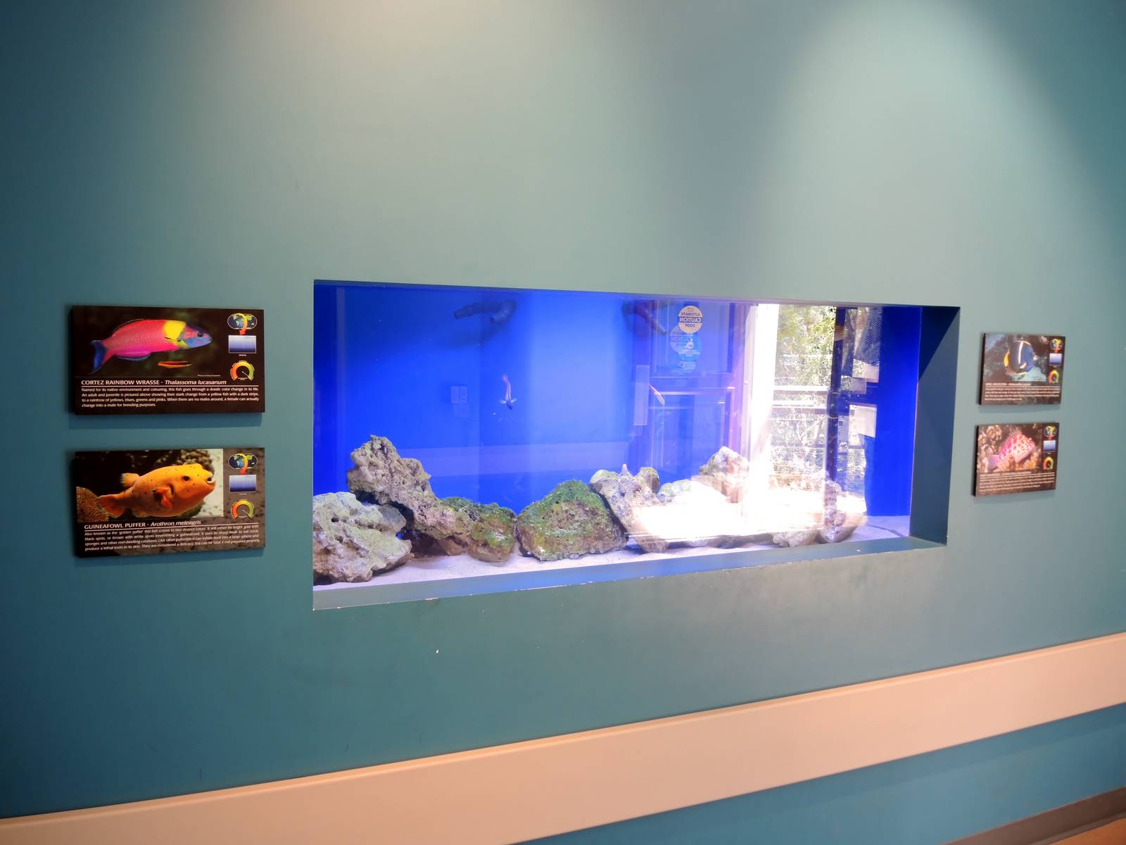 Wild Life Trek - Life in the Desert