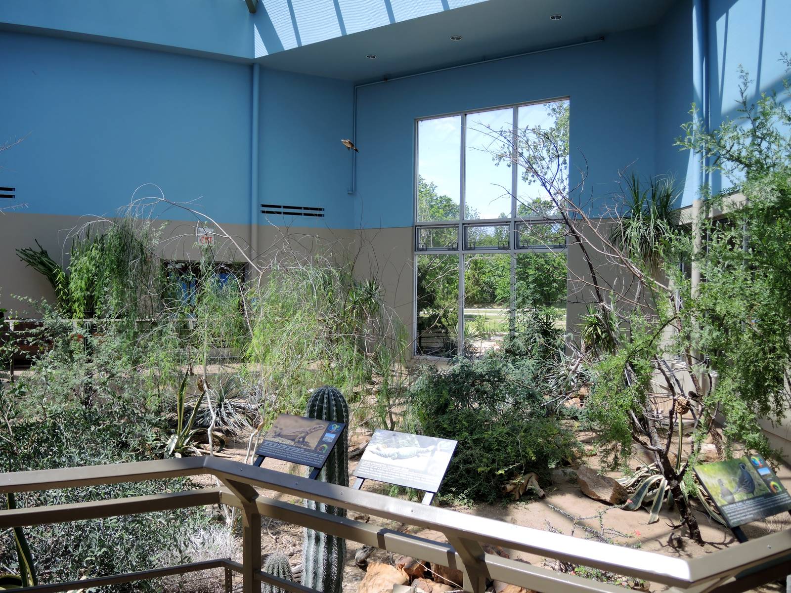 Wild Life Trek - Life in the Desert