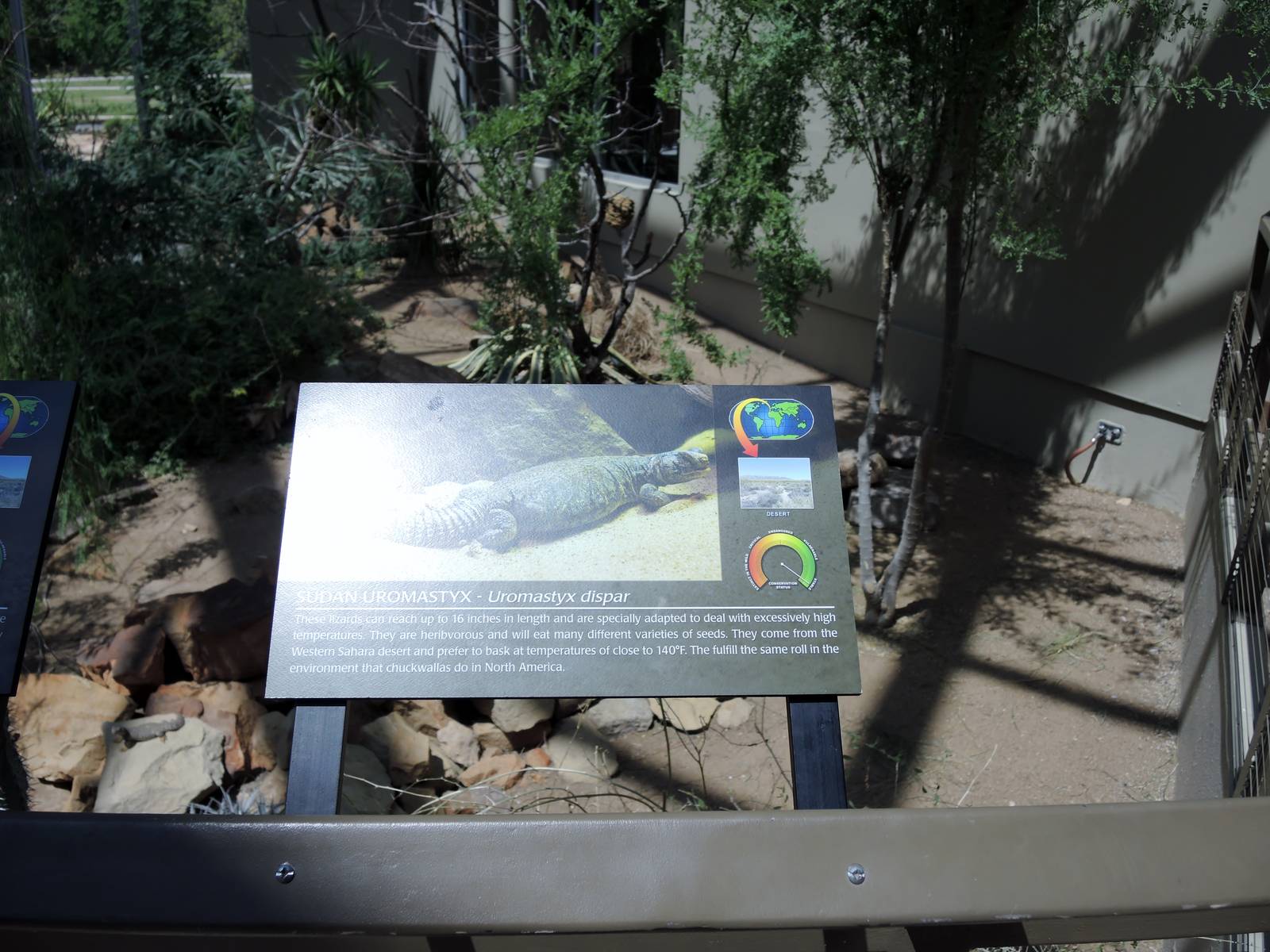 Wild Life Trek - Life in the Desert