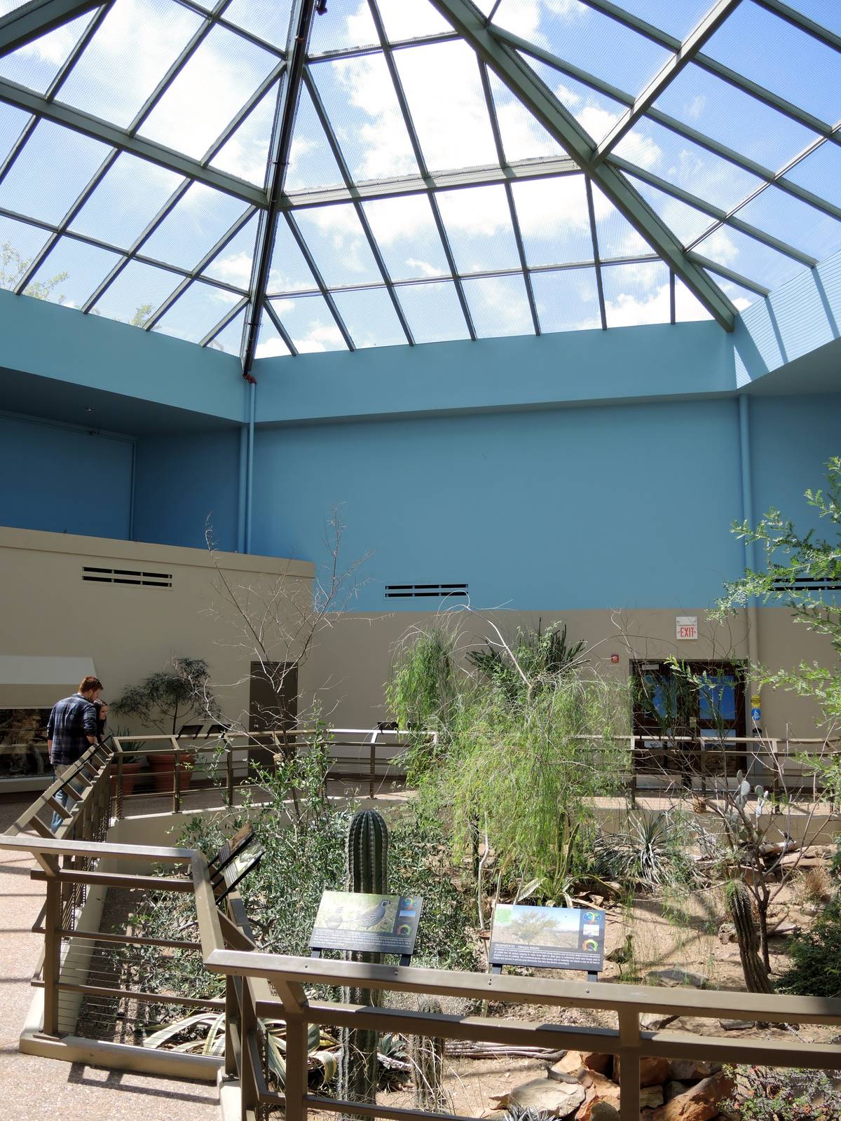 Wild Life Trek - Life in the Desert