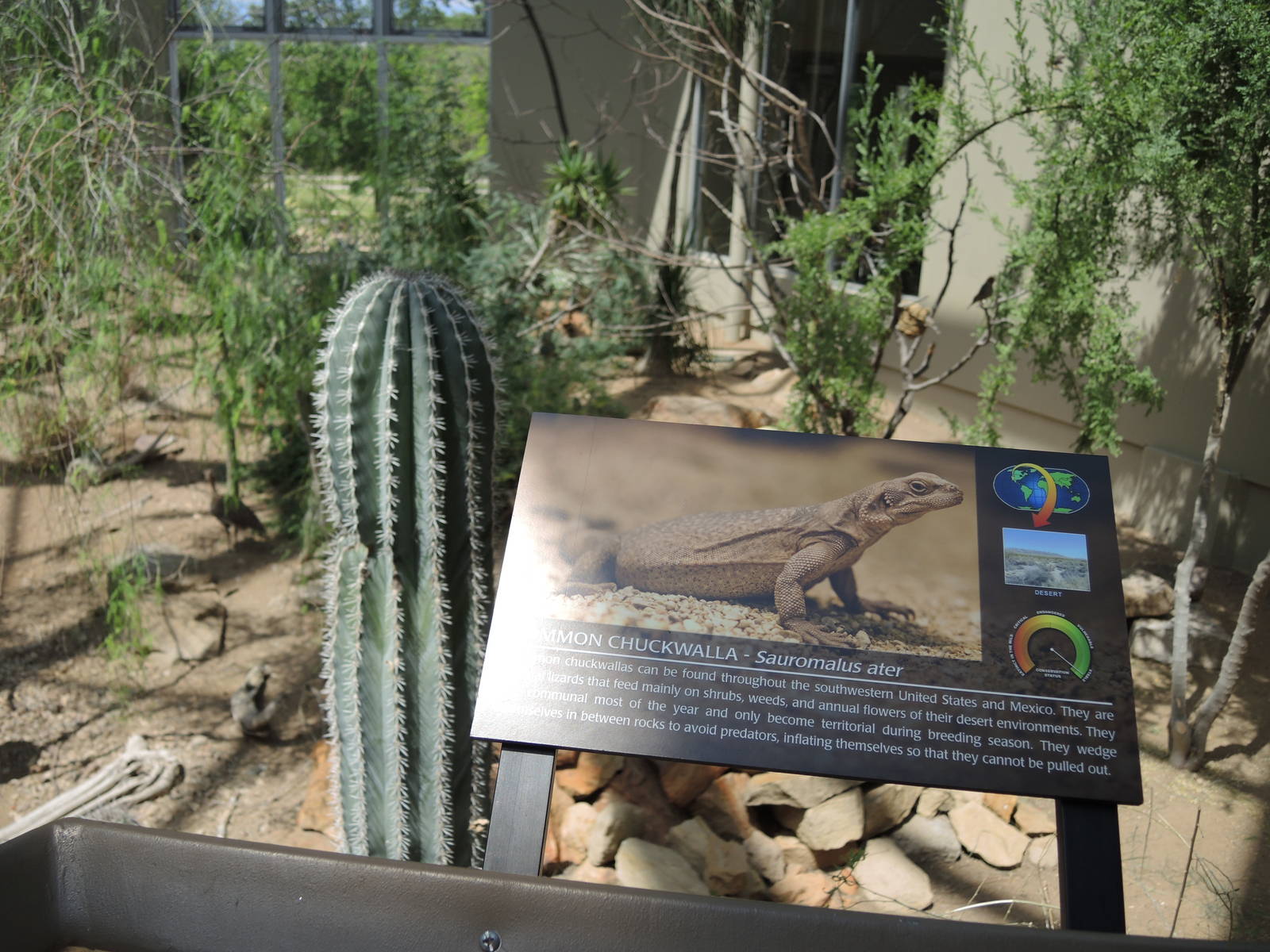 Wild Life Trek - Life in the Desert