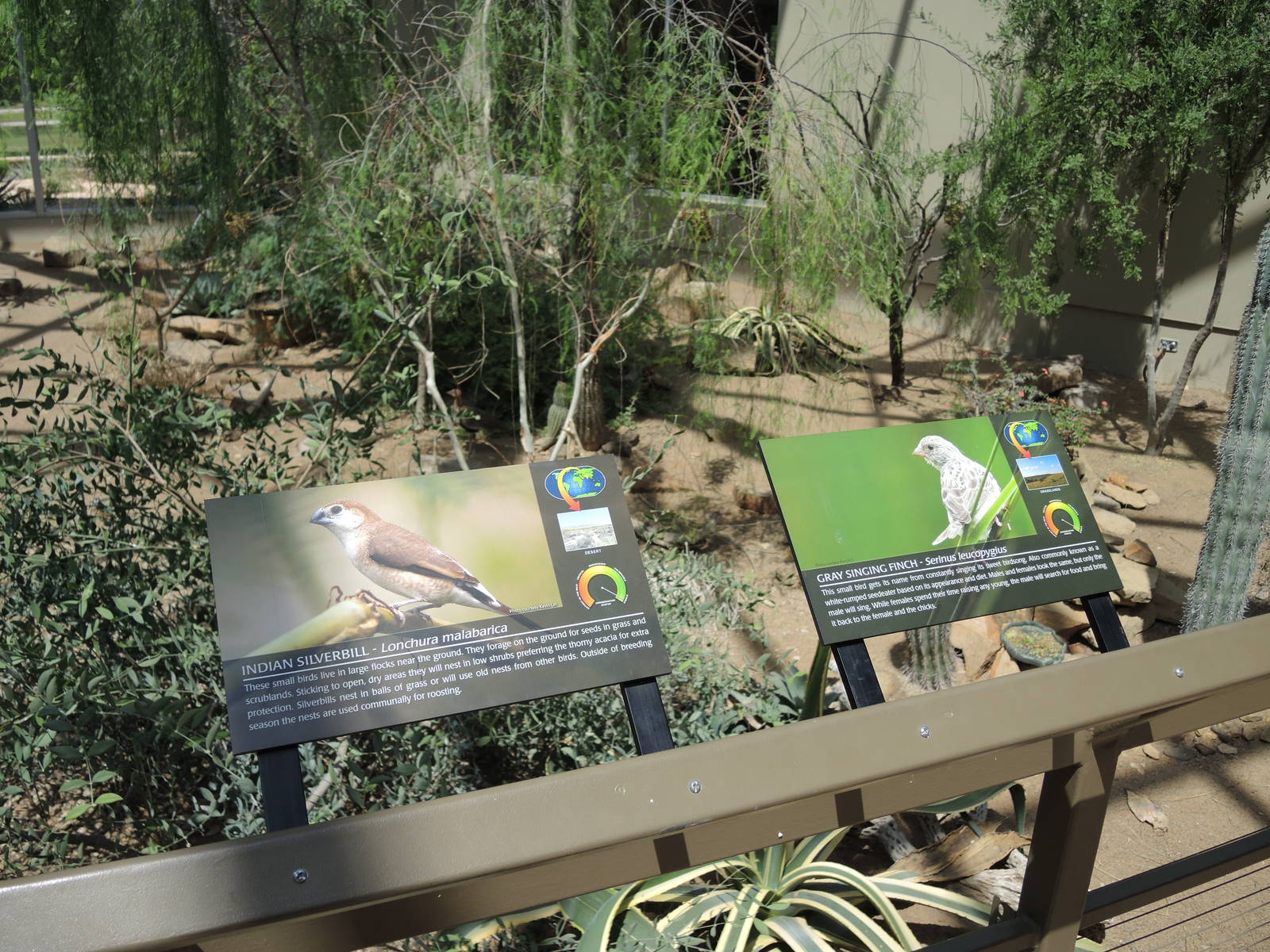 Wild Life Trek - Life in the Desert