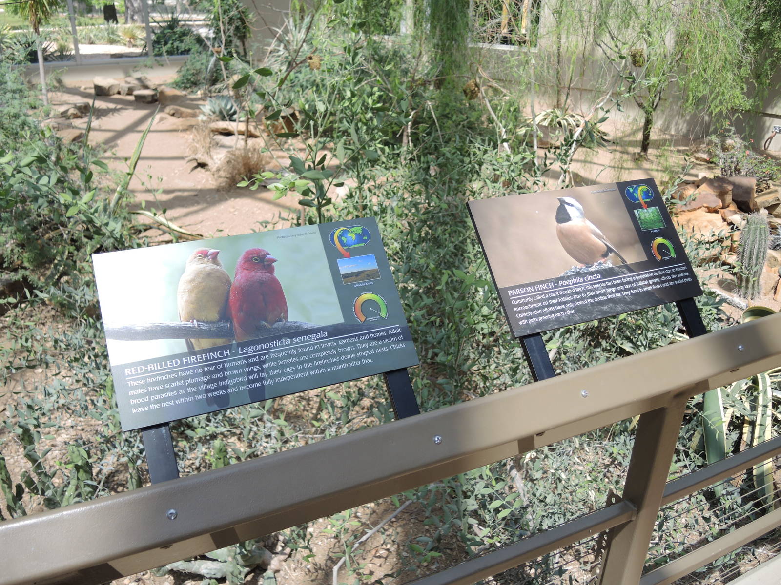 Wild Life Trek - Life in the Desert