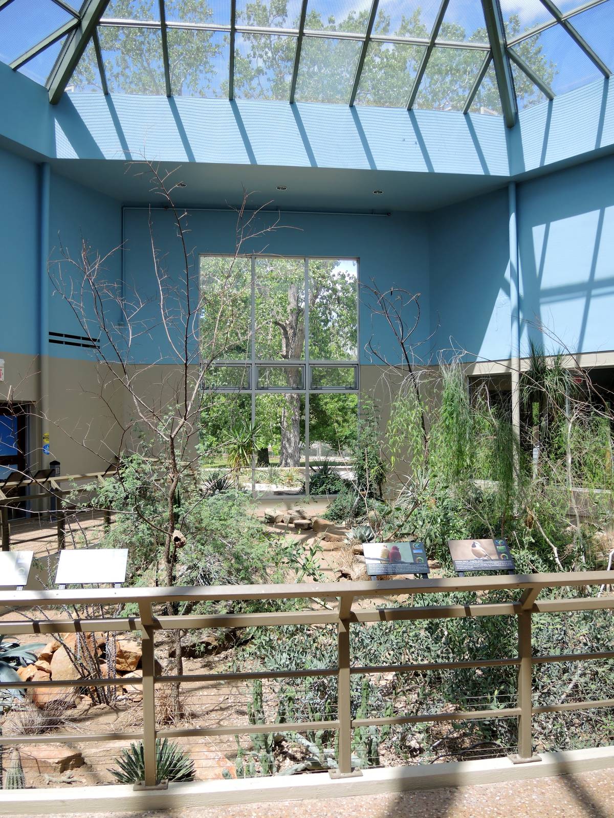 Wild Life Trek - Life in the Desert