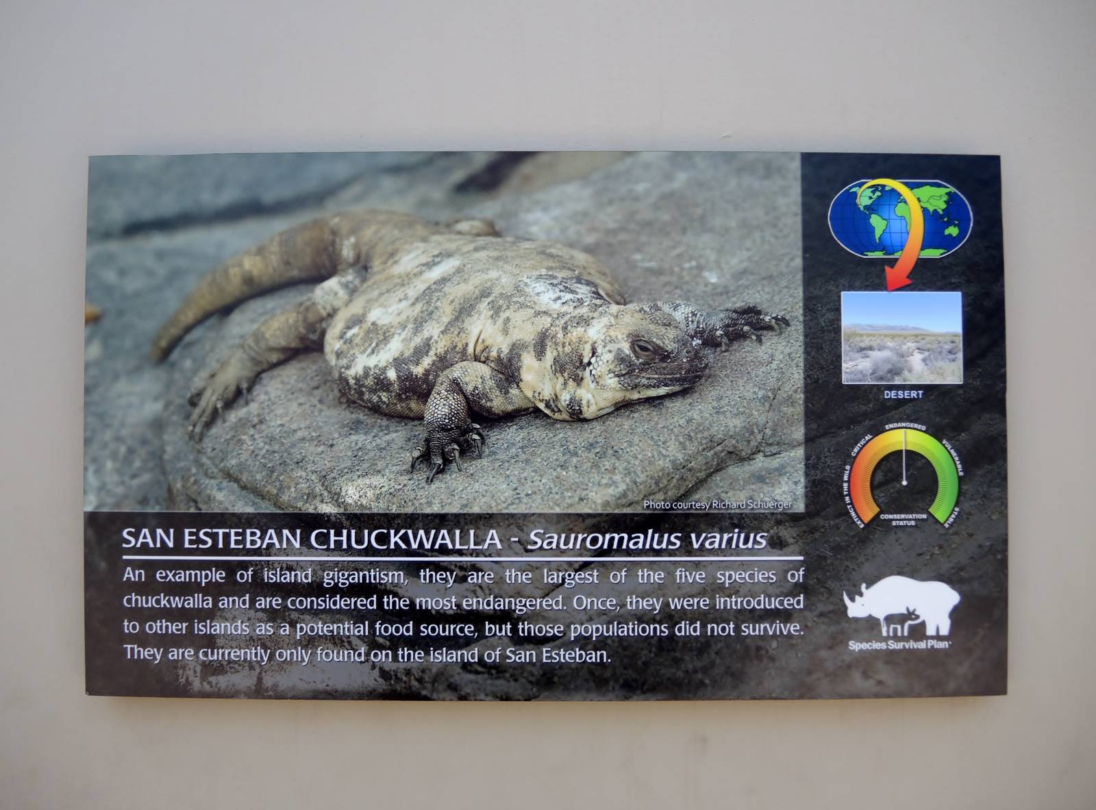 Wild Life Trek - Life in the Desert