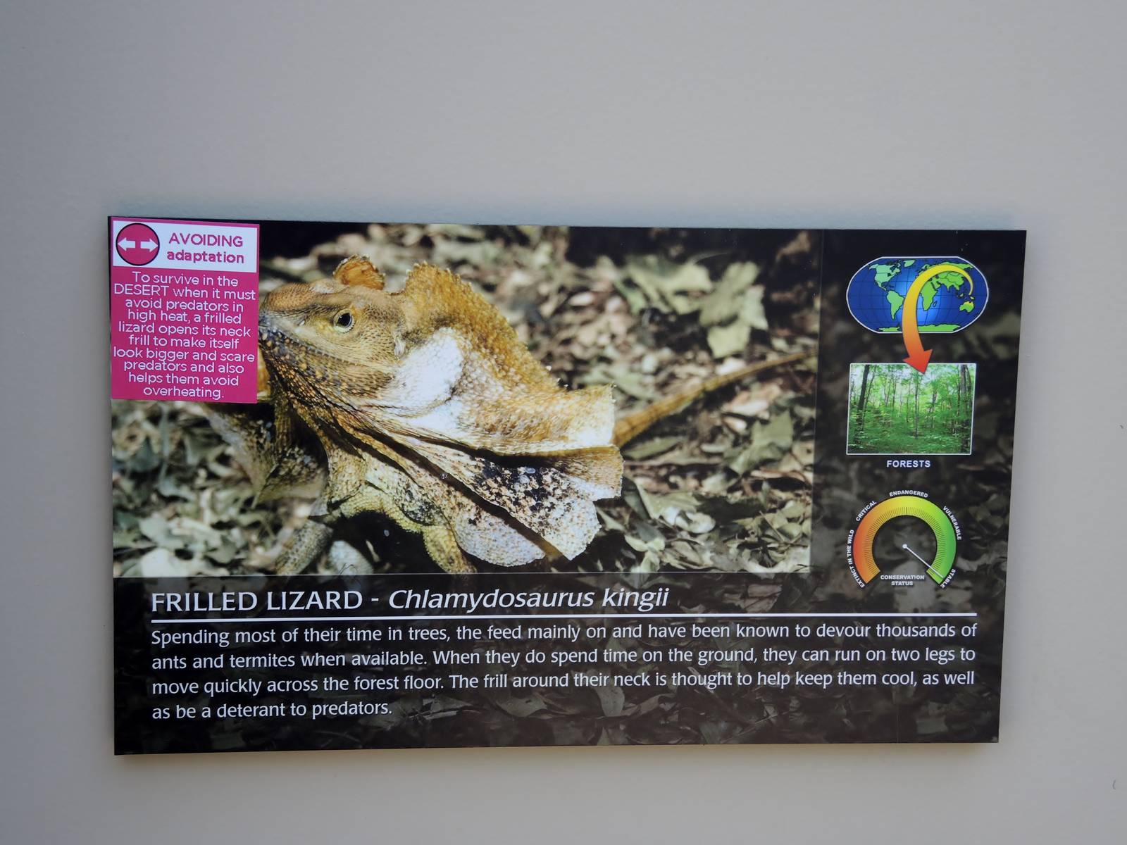 Wild Life Trek - Life in the Desert