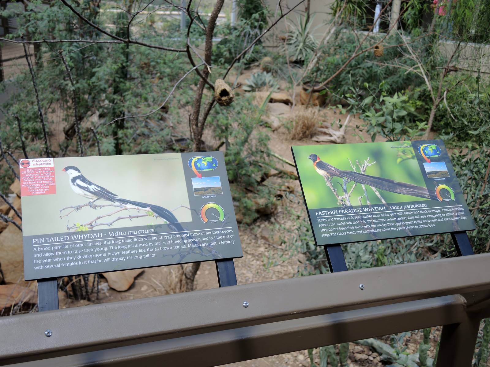 Wild Life Trek - Life in the Desert