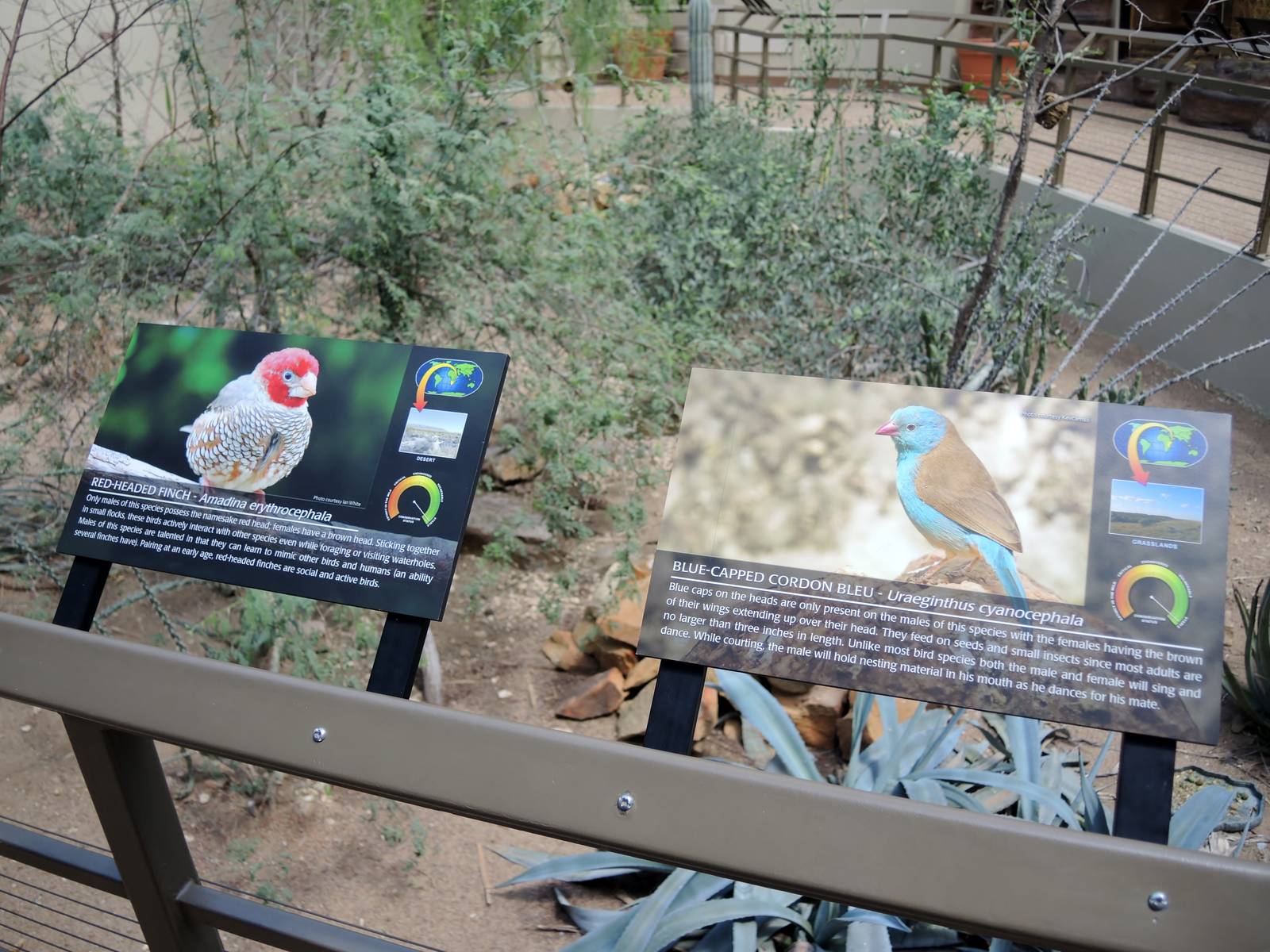 Wild Life Trek - Life in the Desert