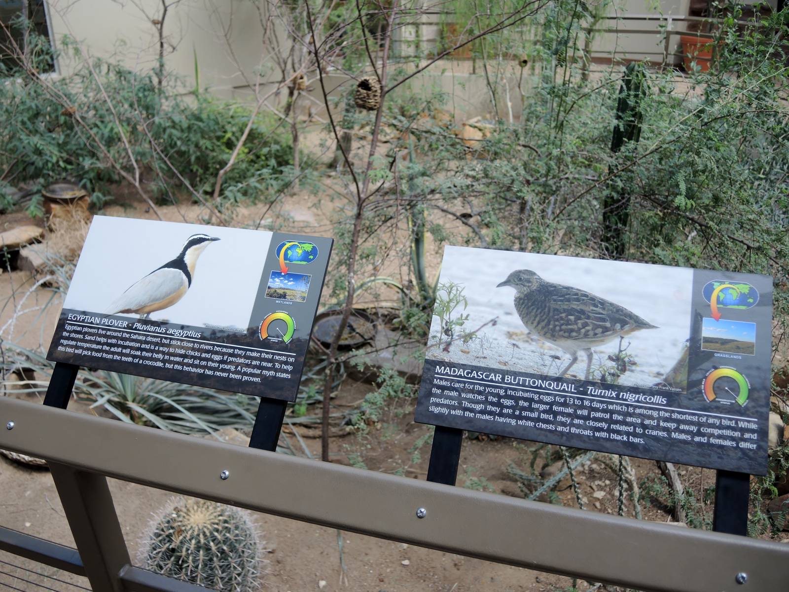 Wild Life Trek - Life in the Desert