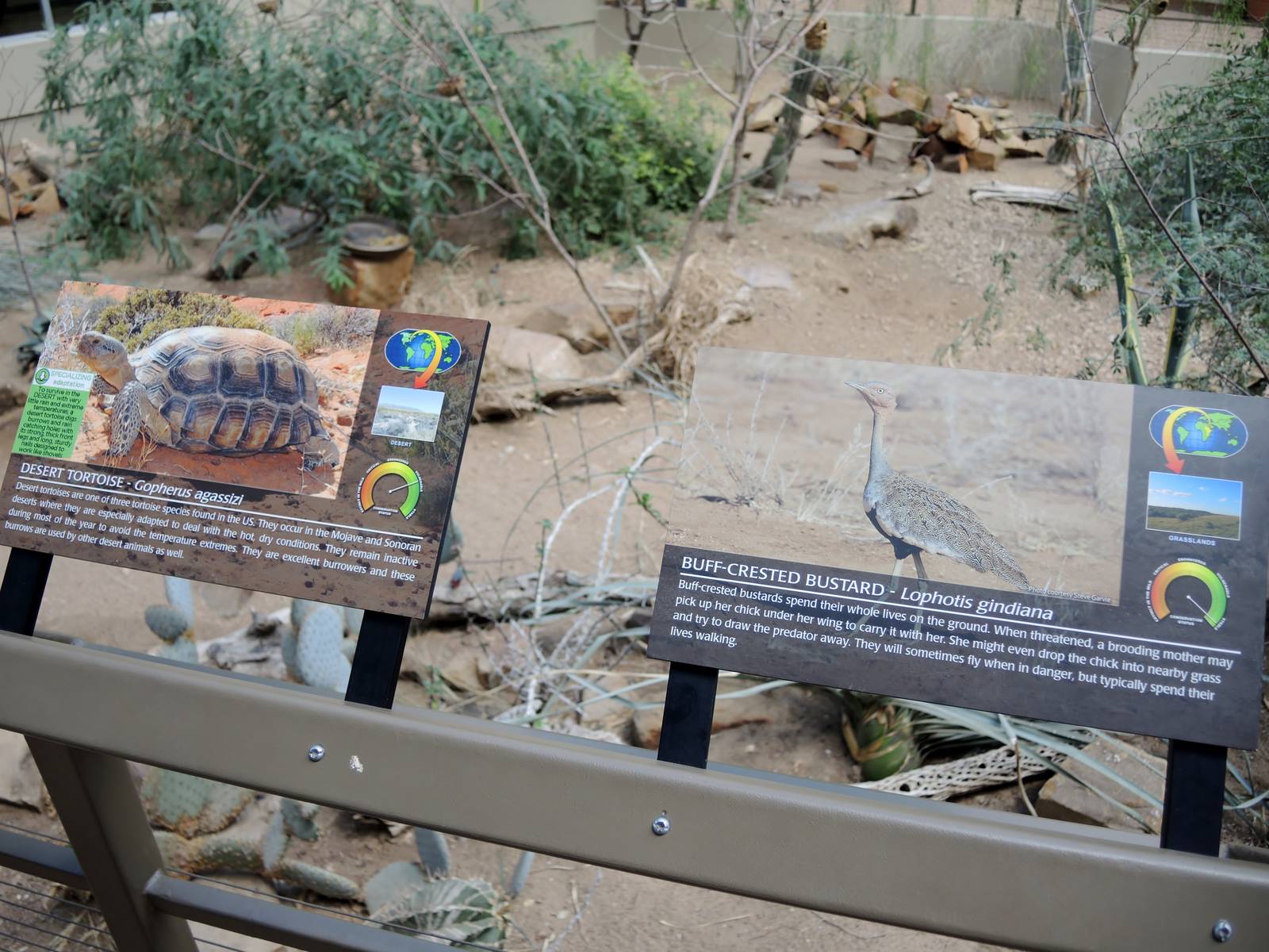 Wild Life Trek - Life in the Desert