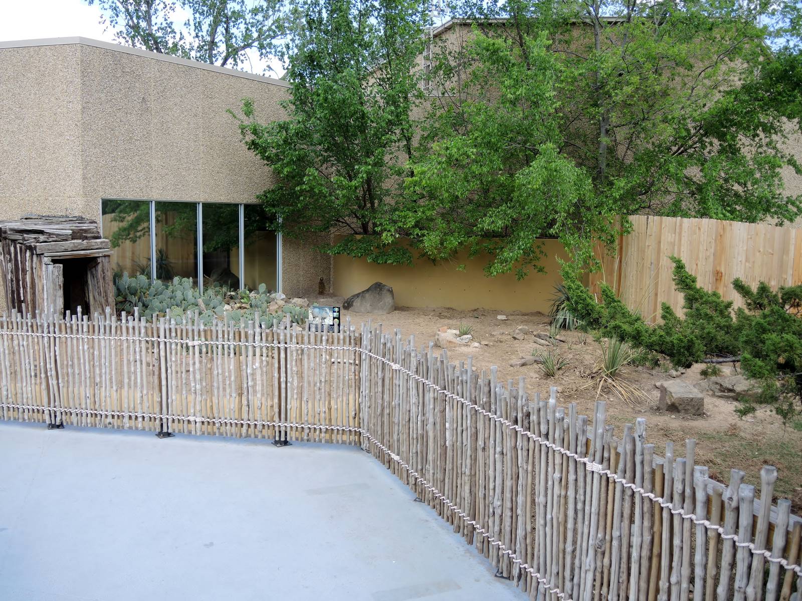 Wild Life Trek - Life in the Desert