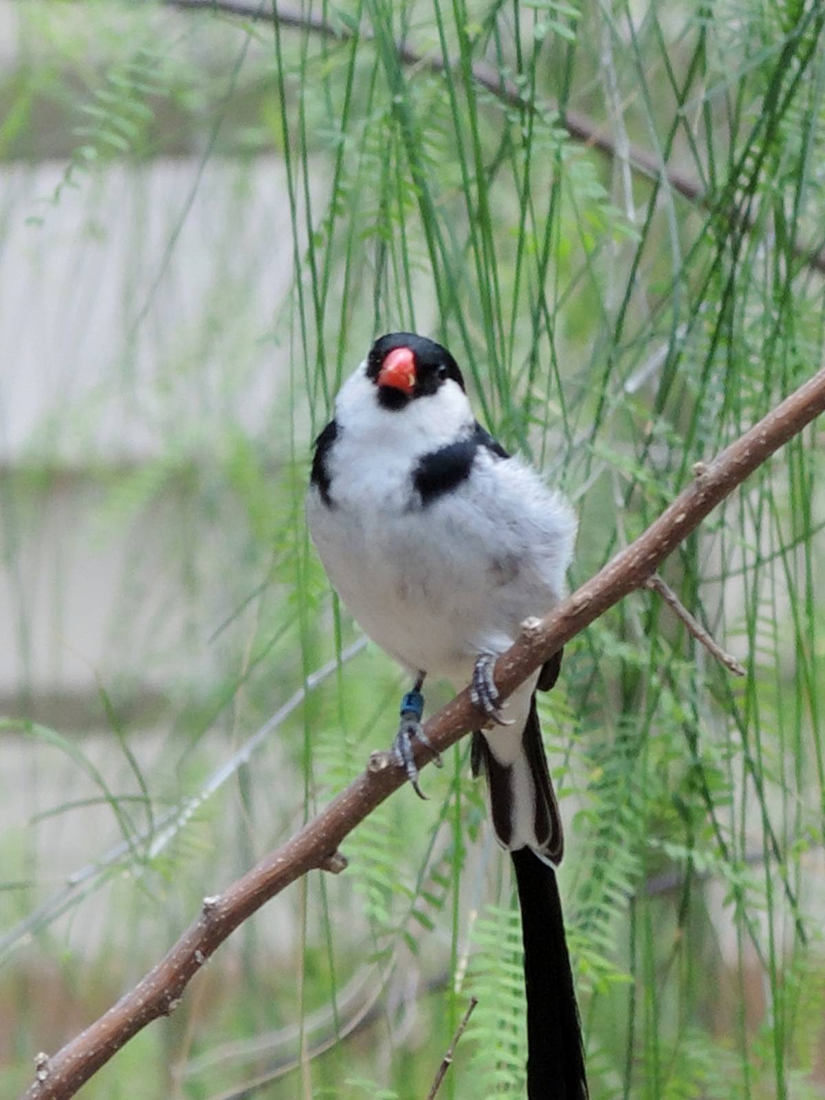 Wild Life Trek - Life in the Desert