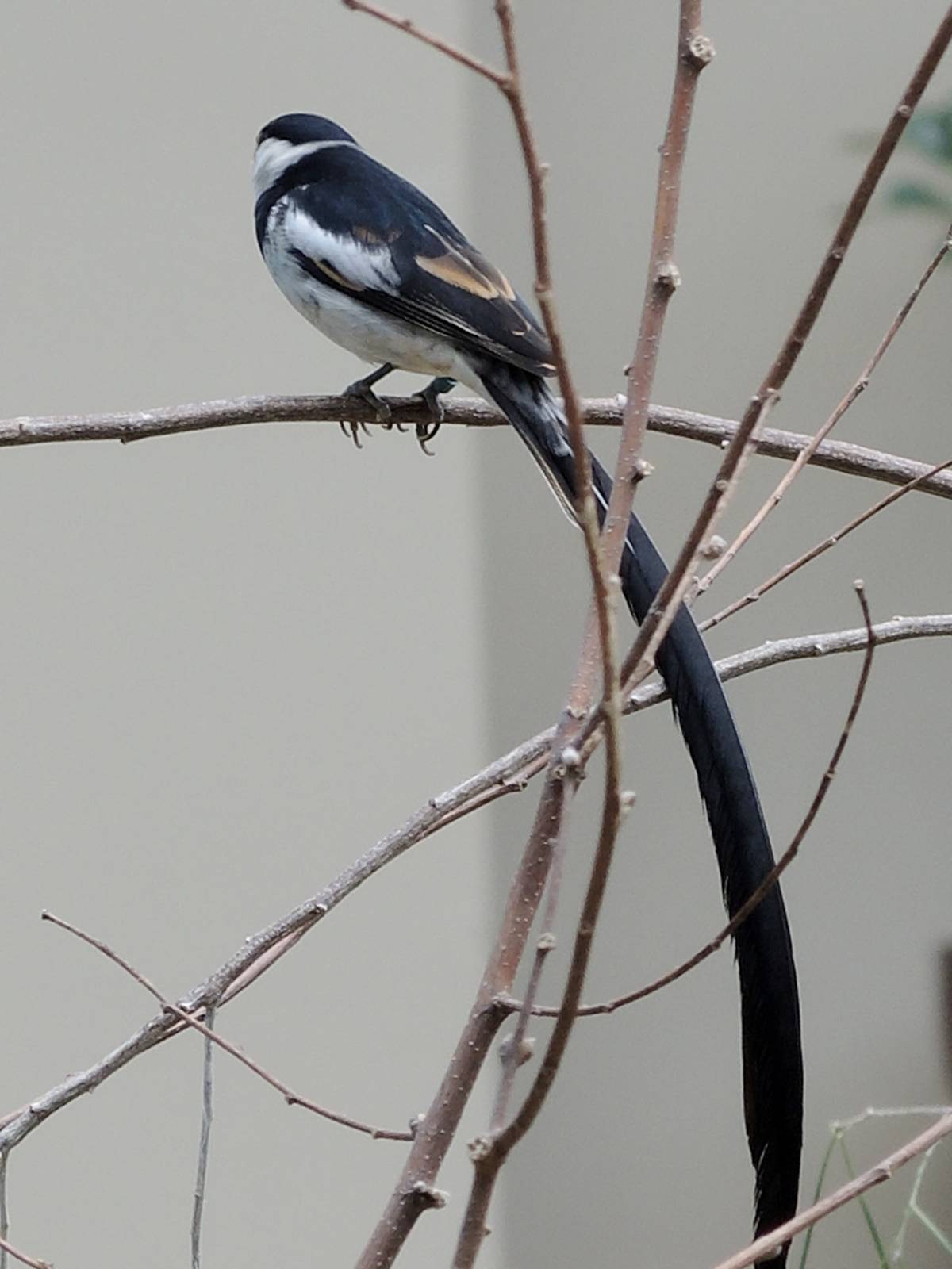 Wild Life Trek - Life in the Desert